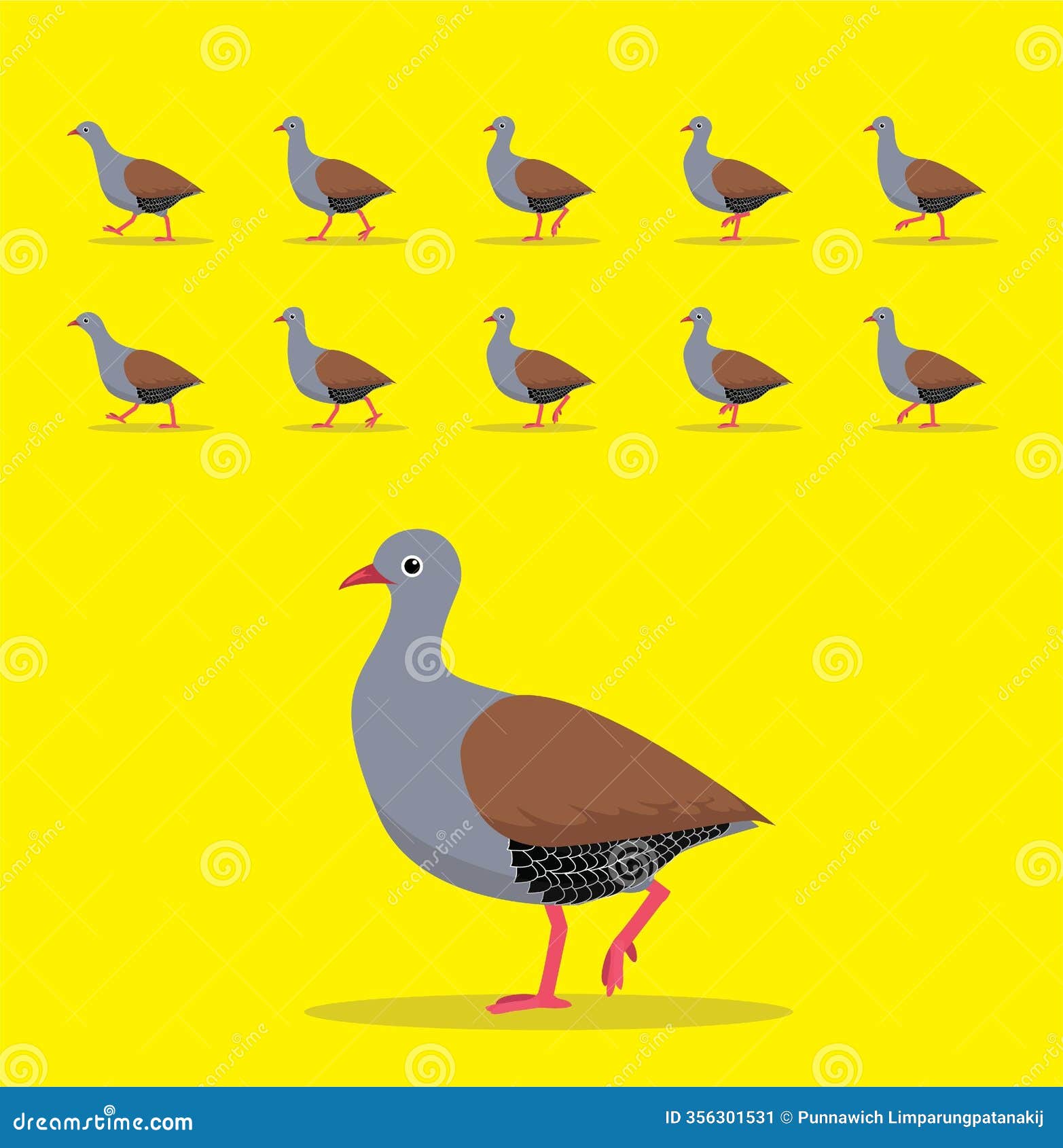 small-billed tinamou animal animation sequence cartoon 