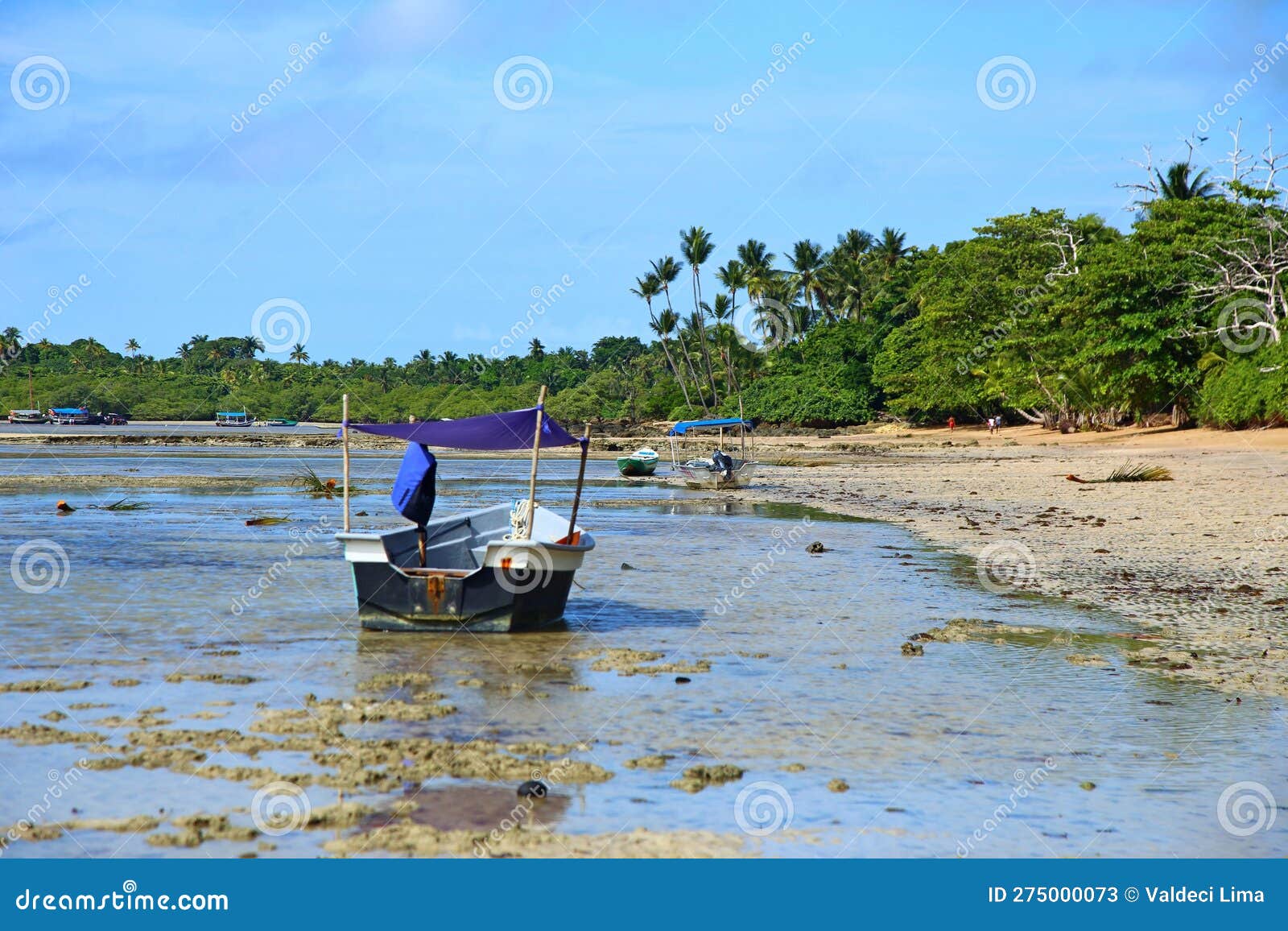 small boat moored on low tide beach. morere in boipeba island, bahia, brazil