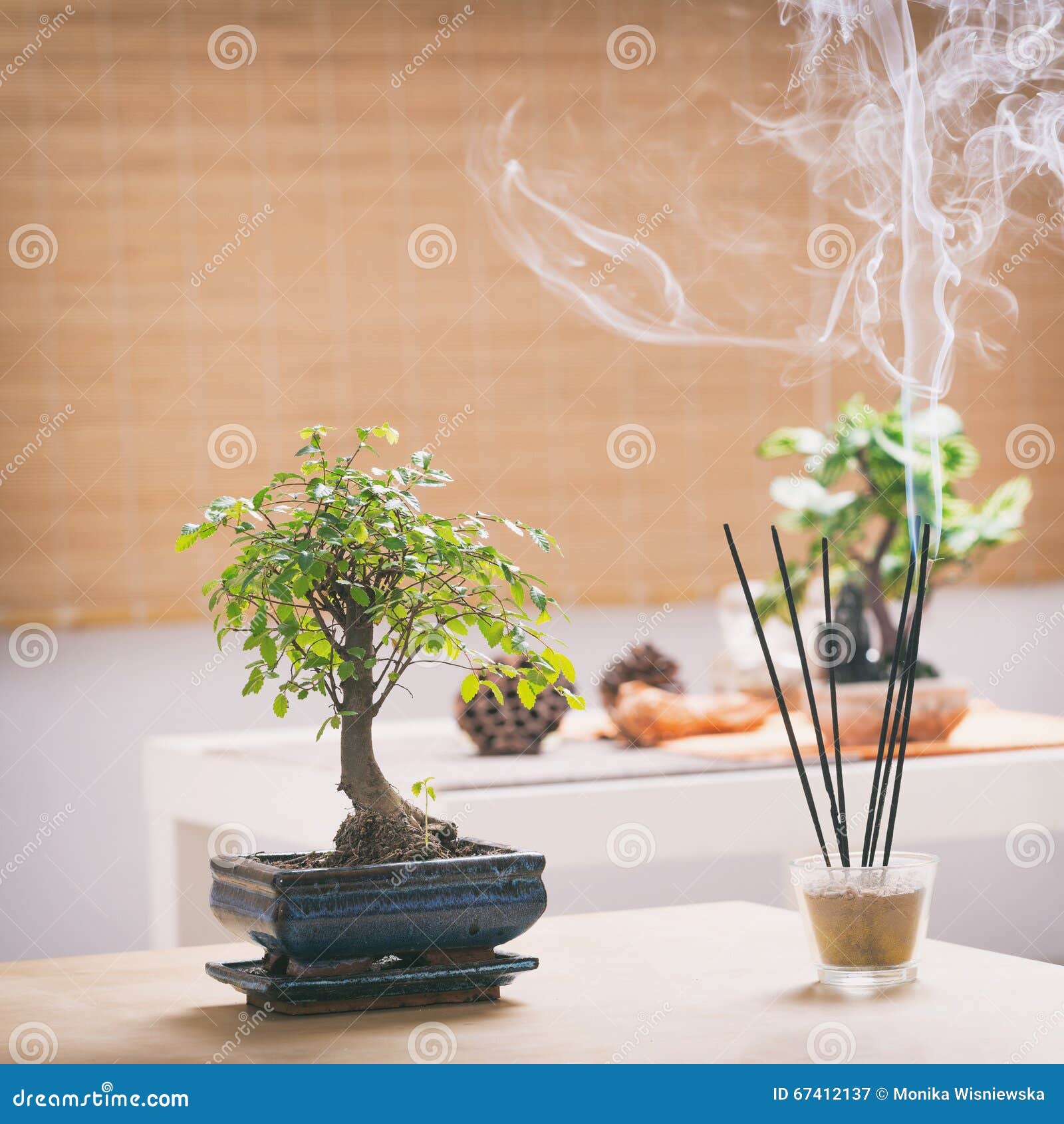 Small bonsai tree stock image. Image of chinese, detail 67412137