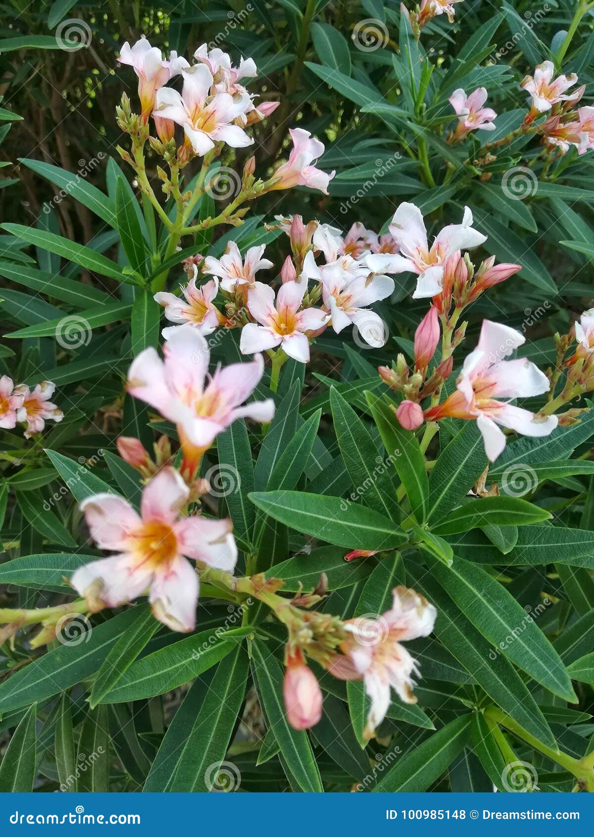 small bouquet