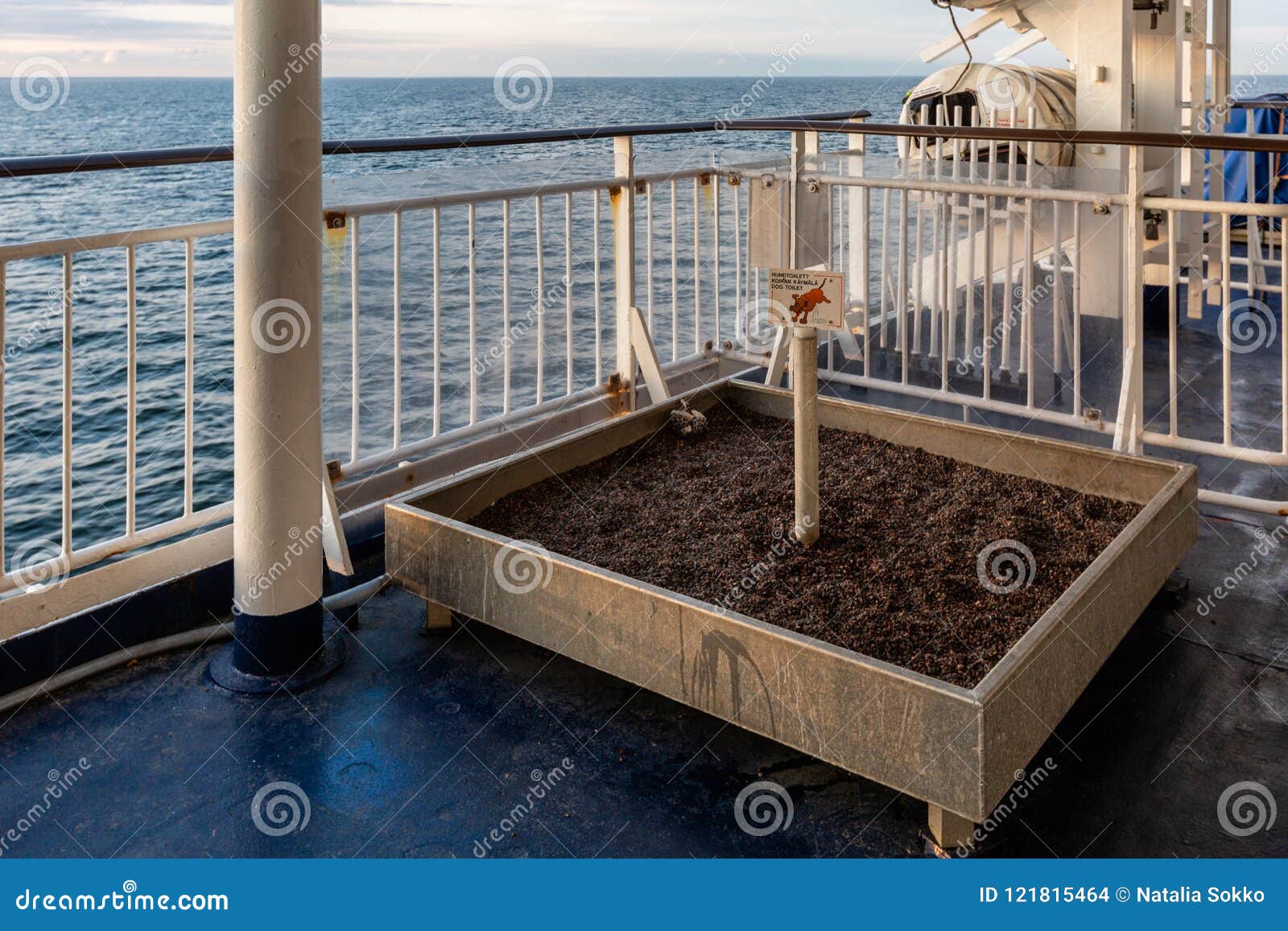 dog potty area on deck