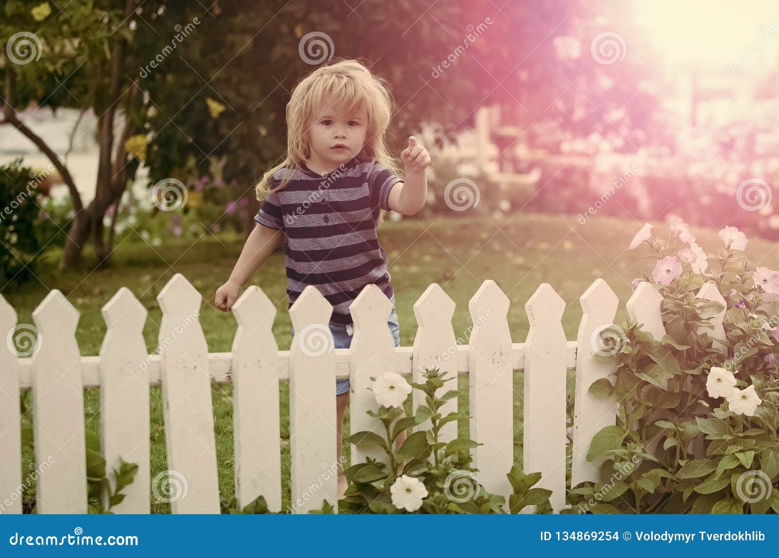 toddler fence outdoor