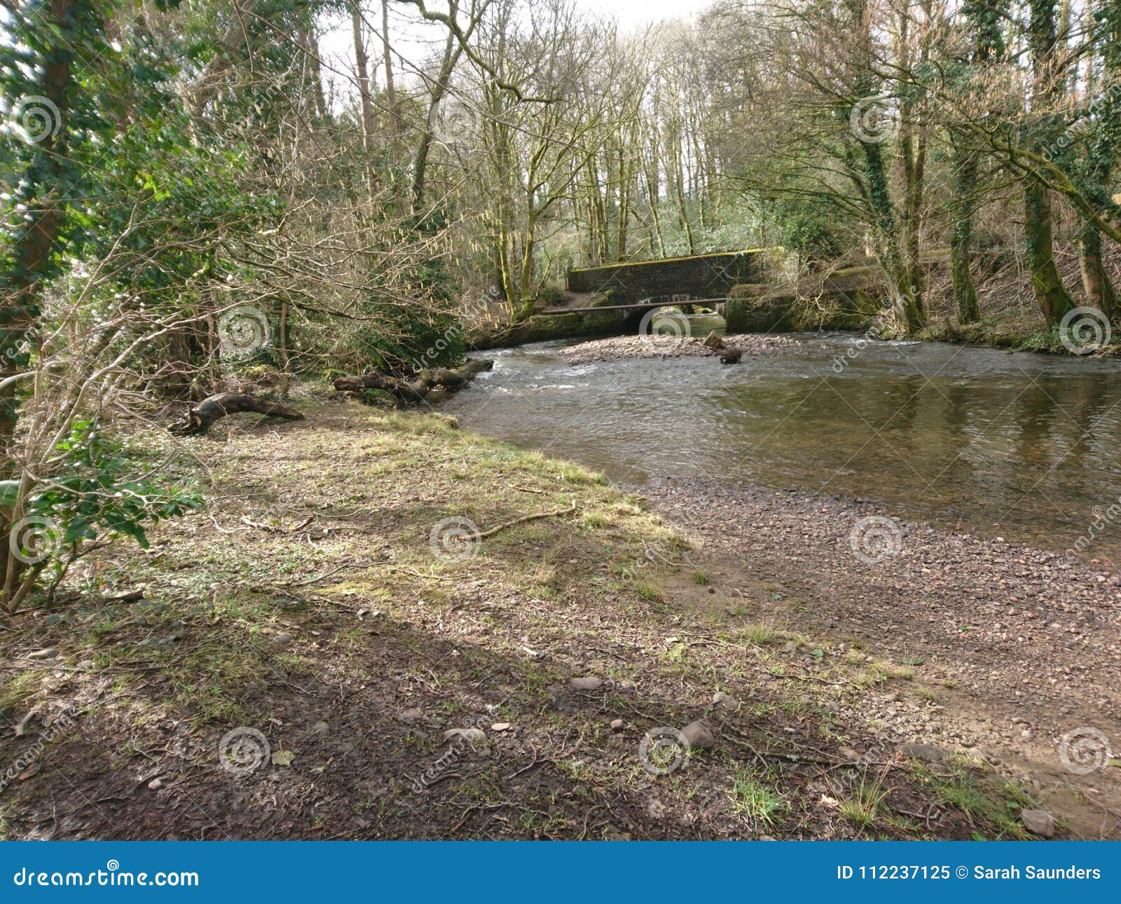 Small Bridge Over the River Stock Image Image of bridge, running