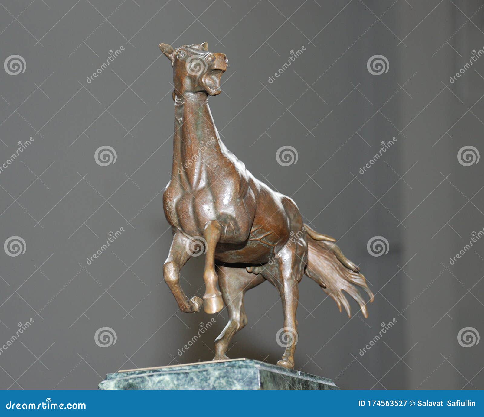 A Small Bronze Figurine of a Horse. Stock Image Image of form, horse