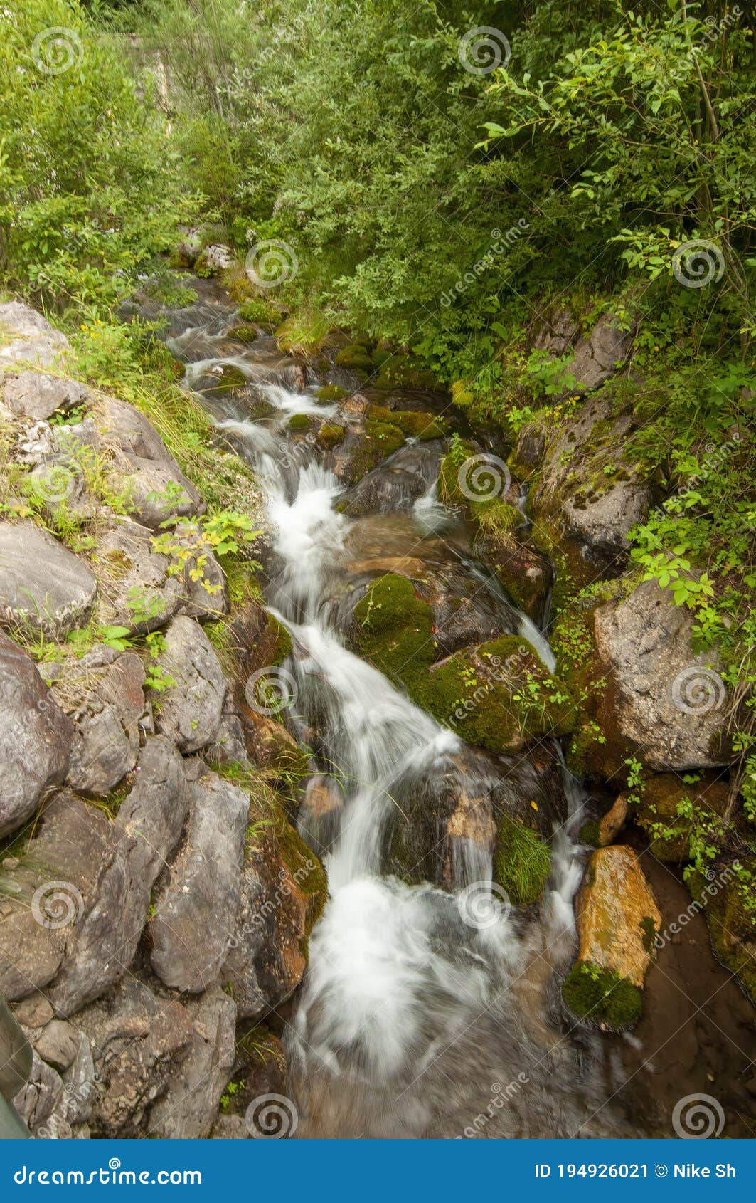 A small brook stock image. Image of rural, tall, forest 194926021