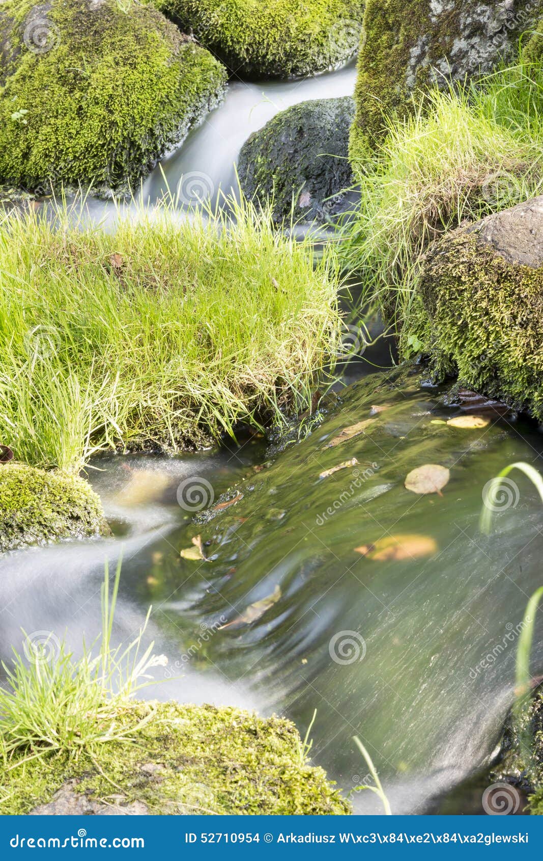 Small brook stock photo. Image of leaf, river, life, plnats 52710954