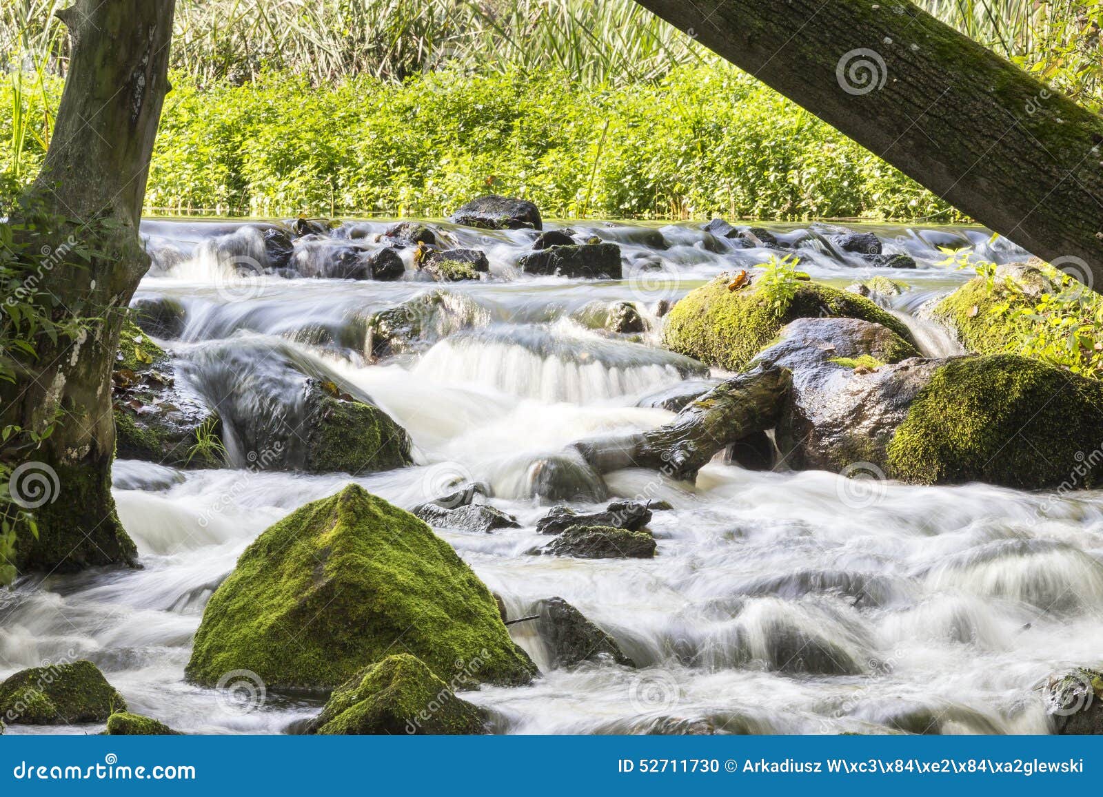 Small brook stock photo. Image of branch, rest, rural 52711730