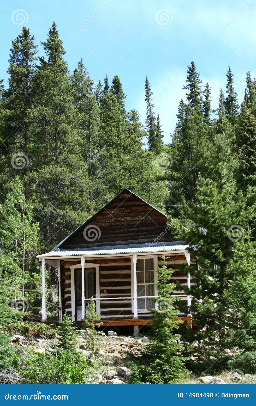small cabin woods 14984498
