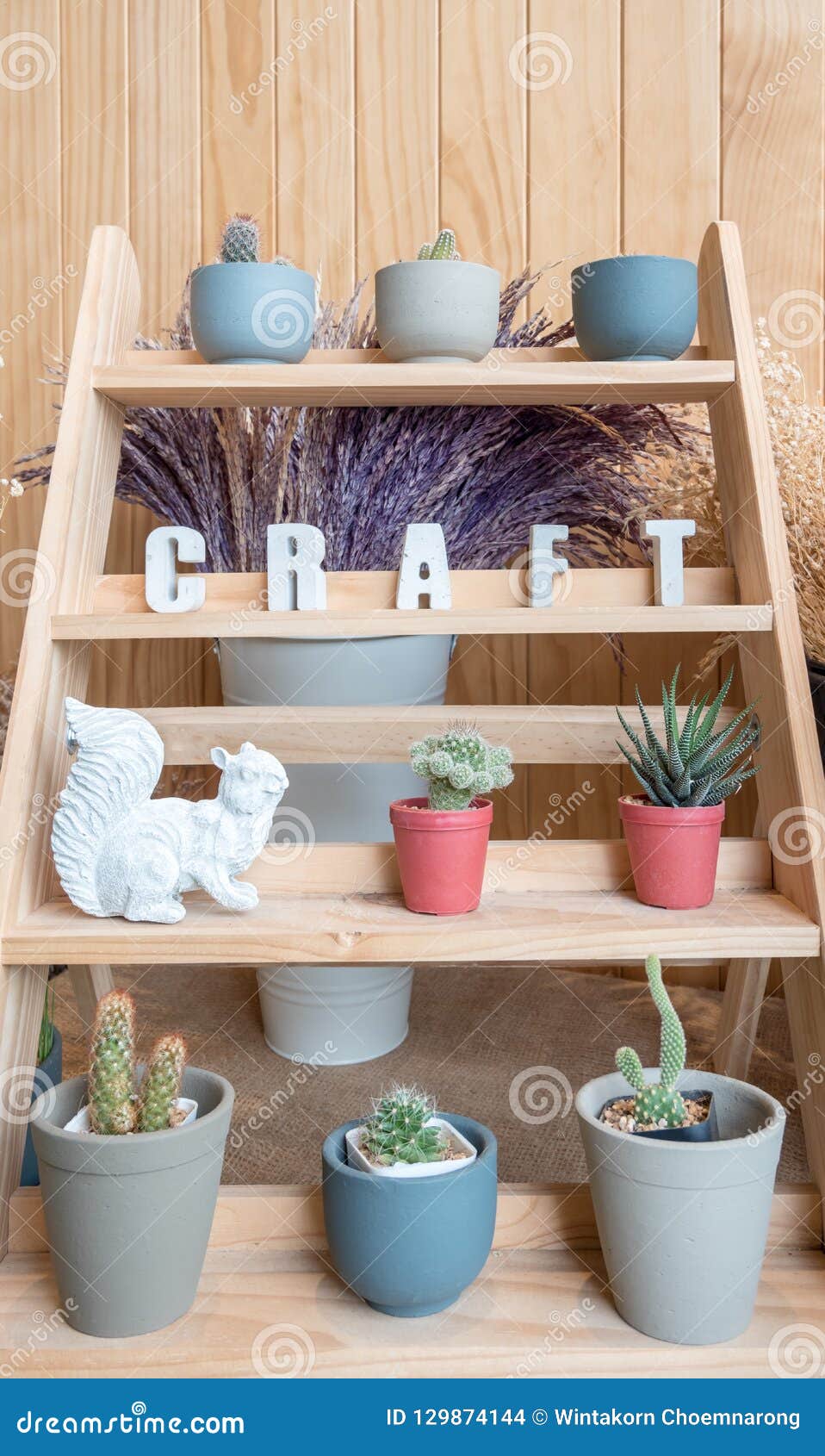 A Small Cactus Pot Displayed on Wooden Shelf in Cafe Stock Photo - of decorative, interior: