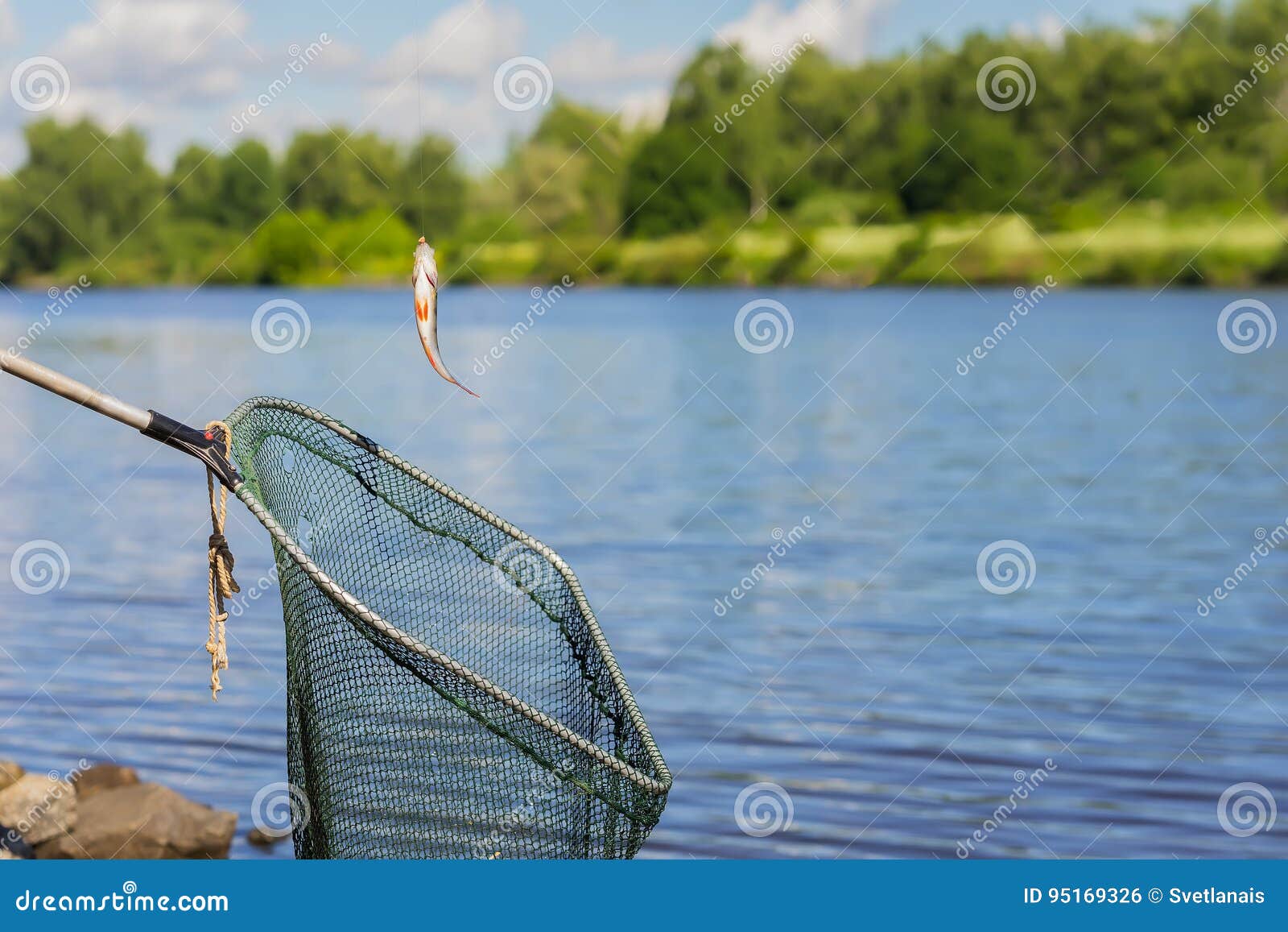 Small Caught Fish Perch, Hanging on a Hook Over a Fishing Net Over a  Natural Landscape of Water and Forest. Copy Space Stock Photo - Image of  seafood, hook: 95169326