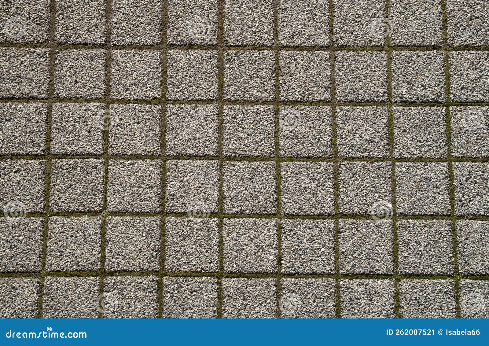 Small Cement Tiles with Moss in Joints Stock Image Image of cement, small 262007521
