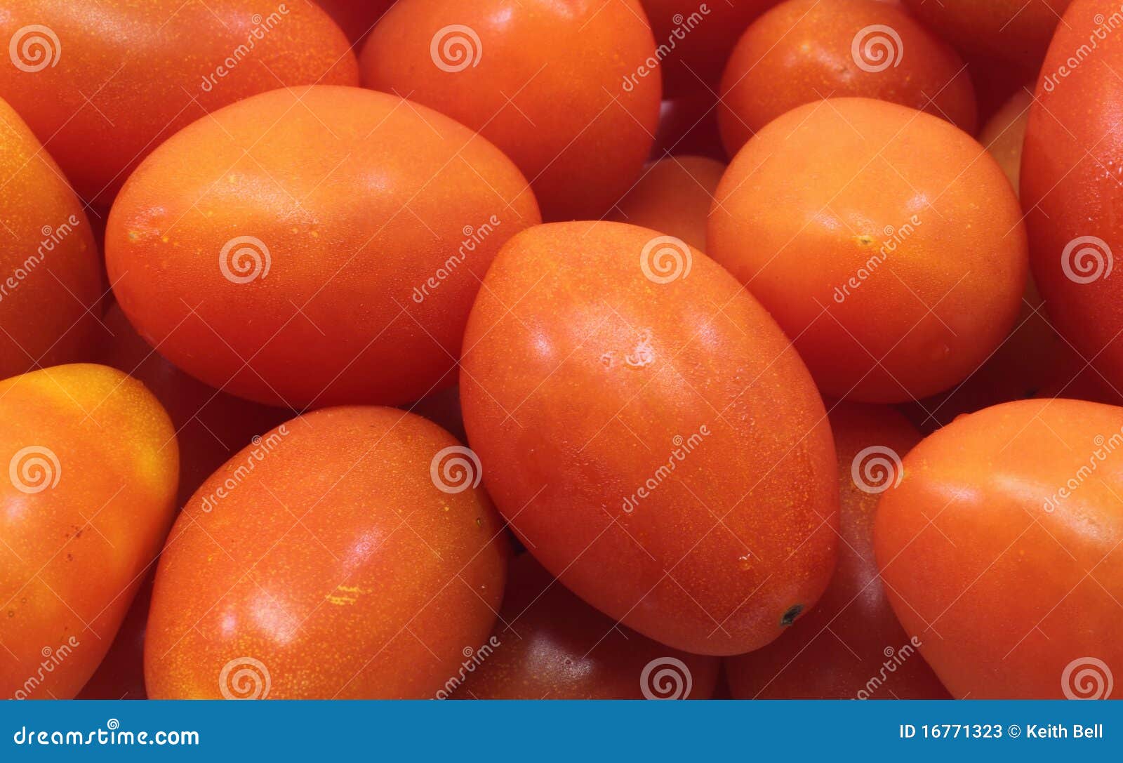 Small Cherry Roma Tomatoes Background Stock Image - Image of colorful ...