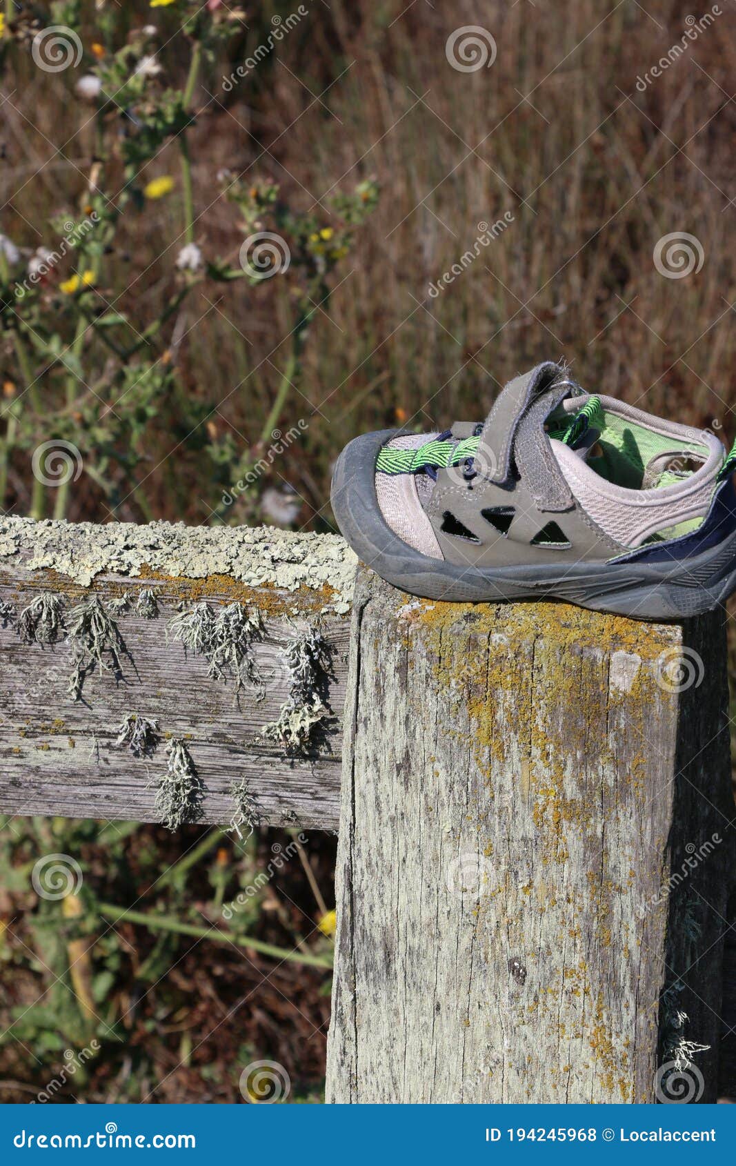 Small Child`s Grey and Green Shoe Sitting on a Weathered Fence Post ...