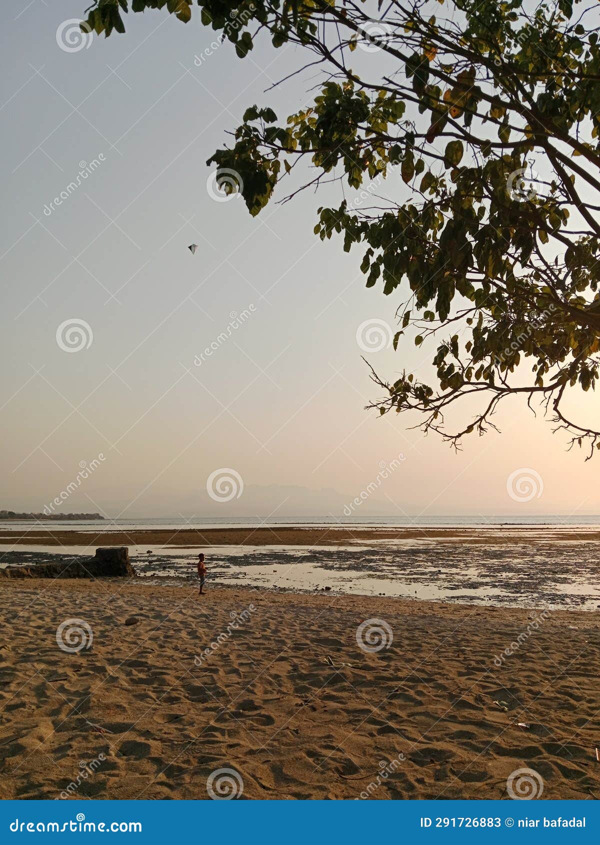 Small Children Playing Kites on the Beach Stock Image Image of small