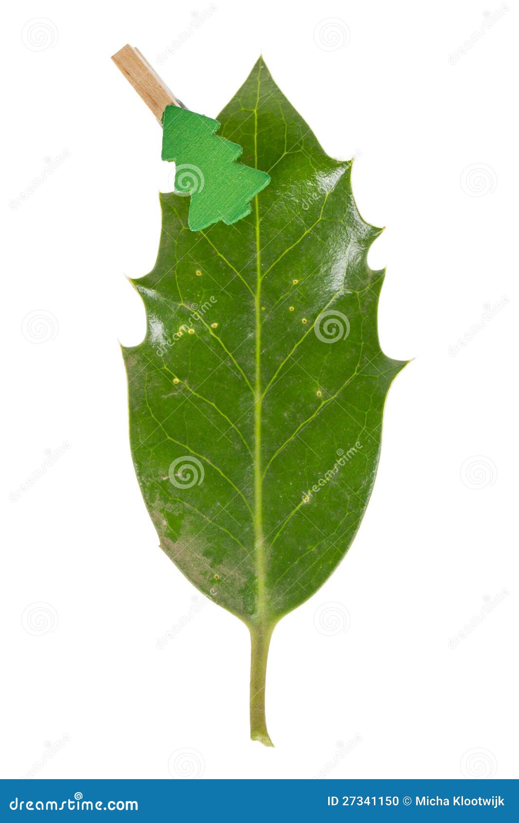Small Clothes Pin with a Christmas Tree on a Leaf (butchers Broom) Stock  Photo - Image of broom, decorating: 27341150