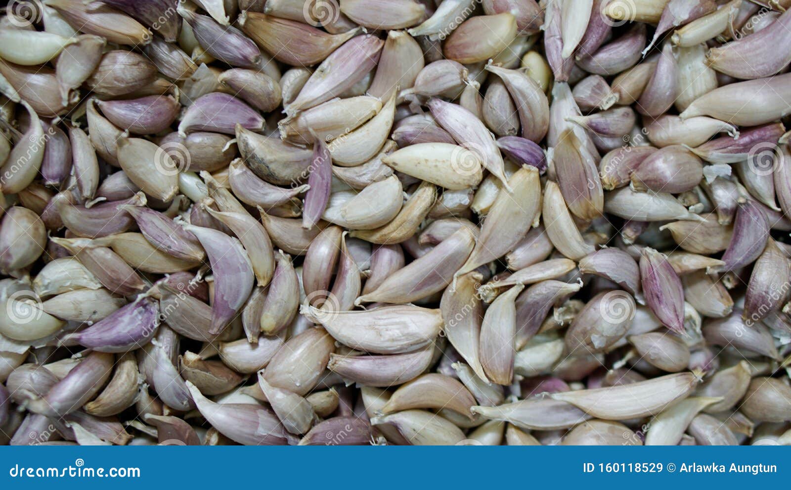 Small clove garlic stock image. Image of clove, blue 160118529