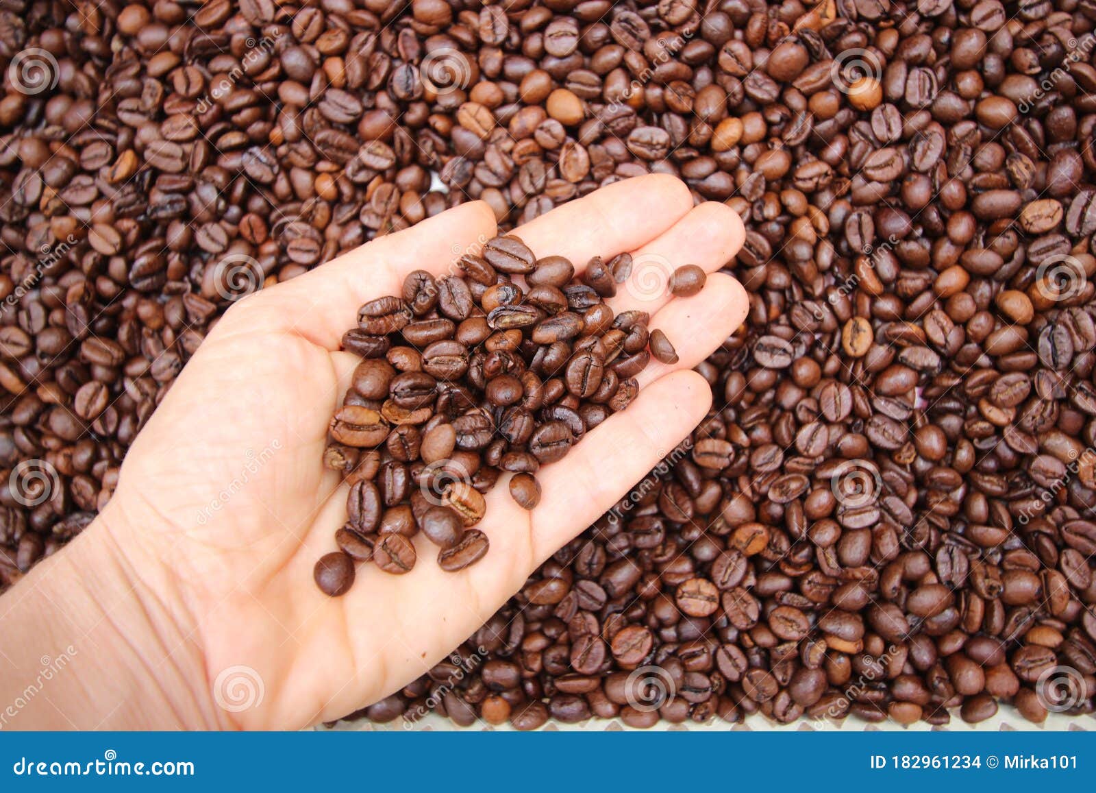 background with many small coffee beans in the hand