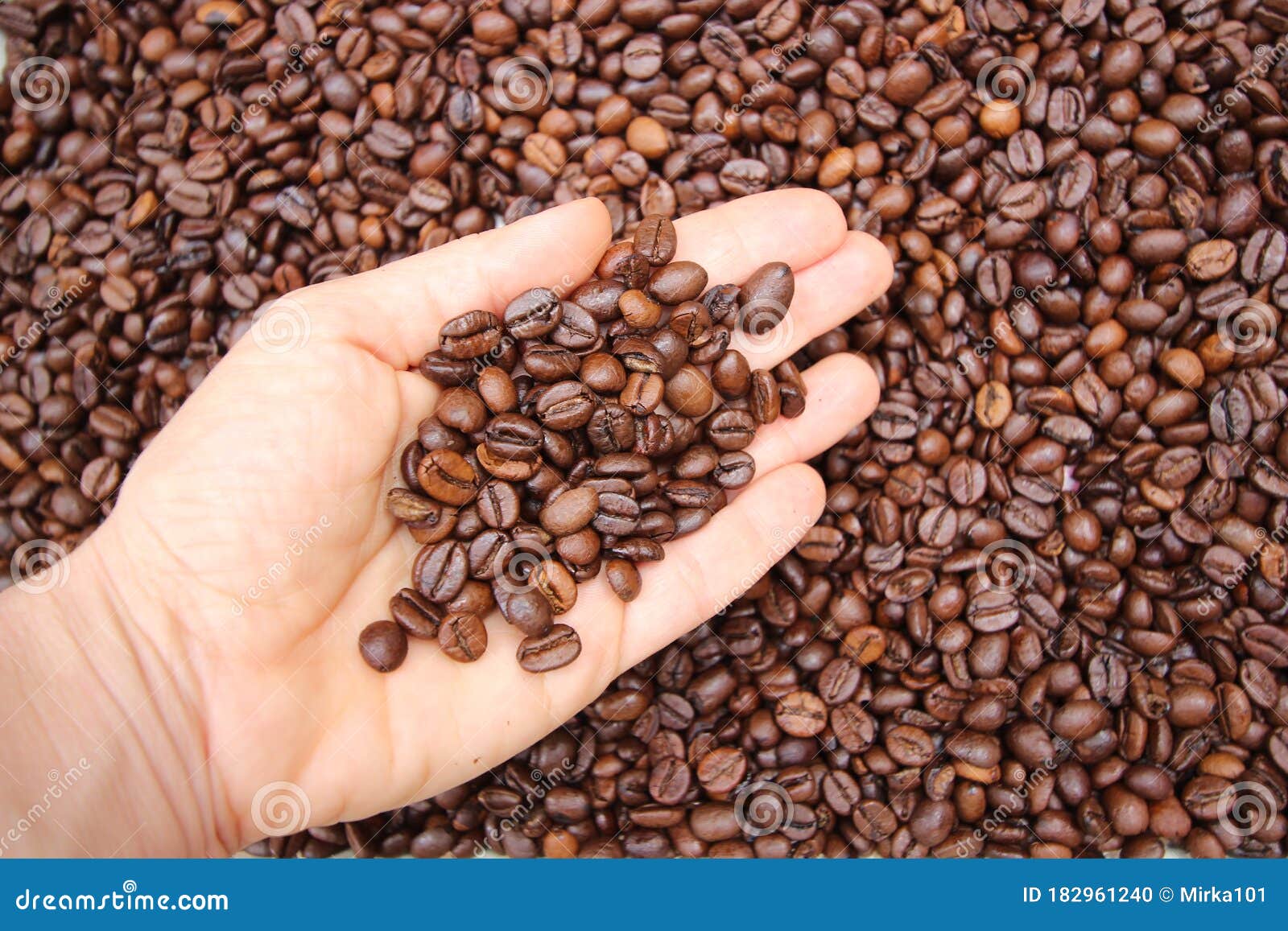 background with many small coffee beans in the hand