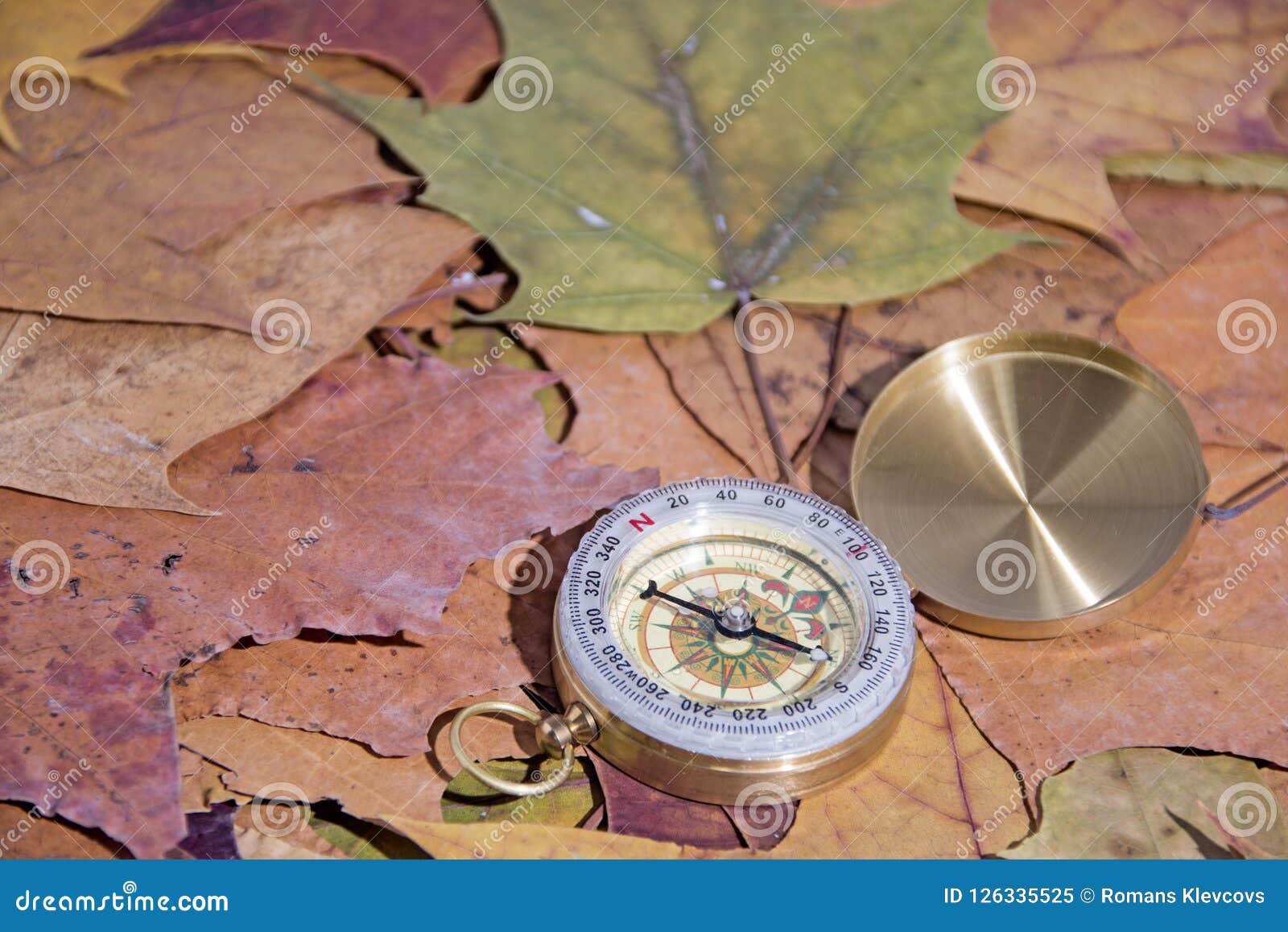Small Compass on Falling Maple Leaves. Navigation Abstract Photo Stock
