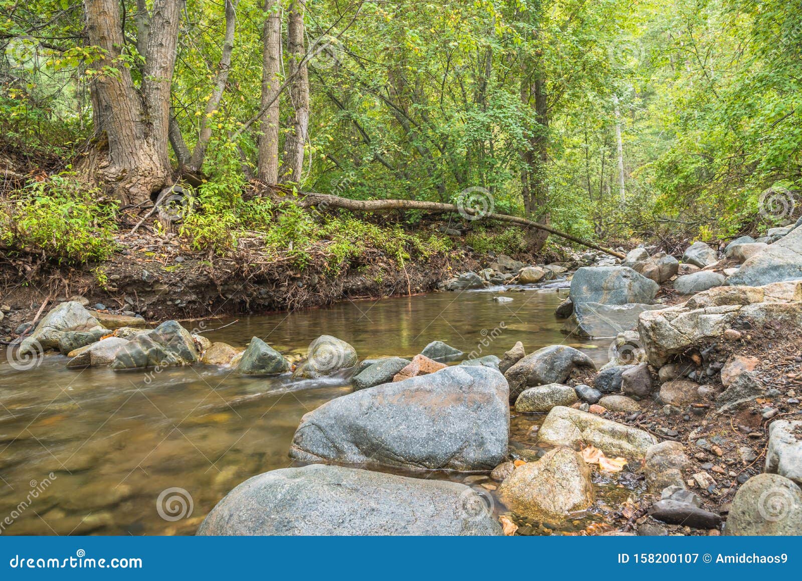 Small Creek With Rocky Shoreline Flowing Through Forest Stock Image