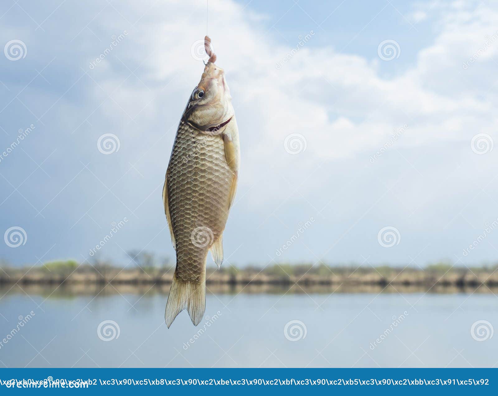 267 Fish Earthworm Hook Stock Photos - Free & Royalty-Free Stock Photos  from Dreamstime