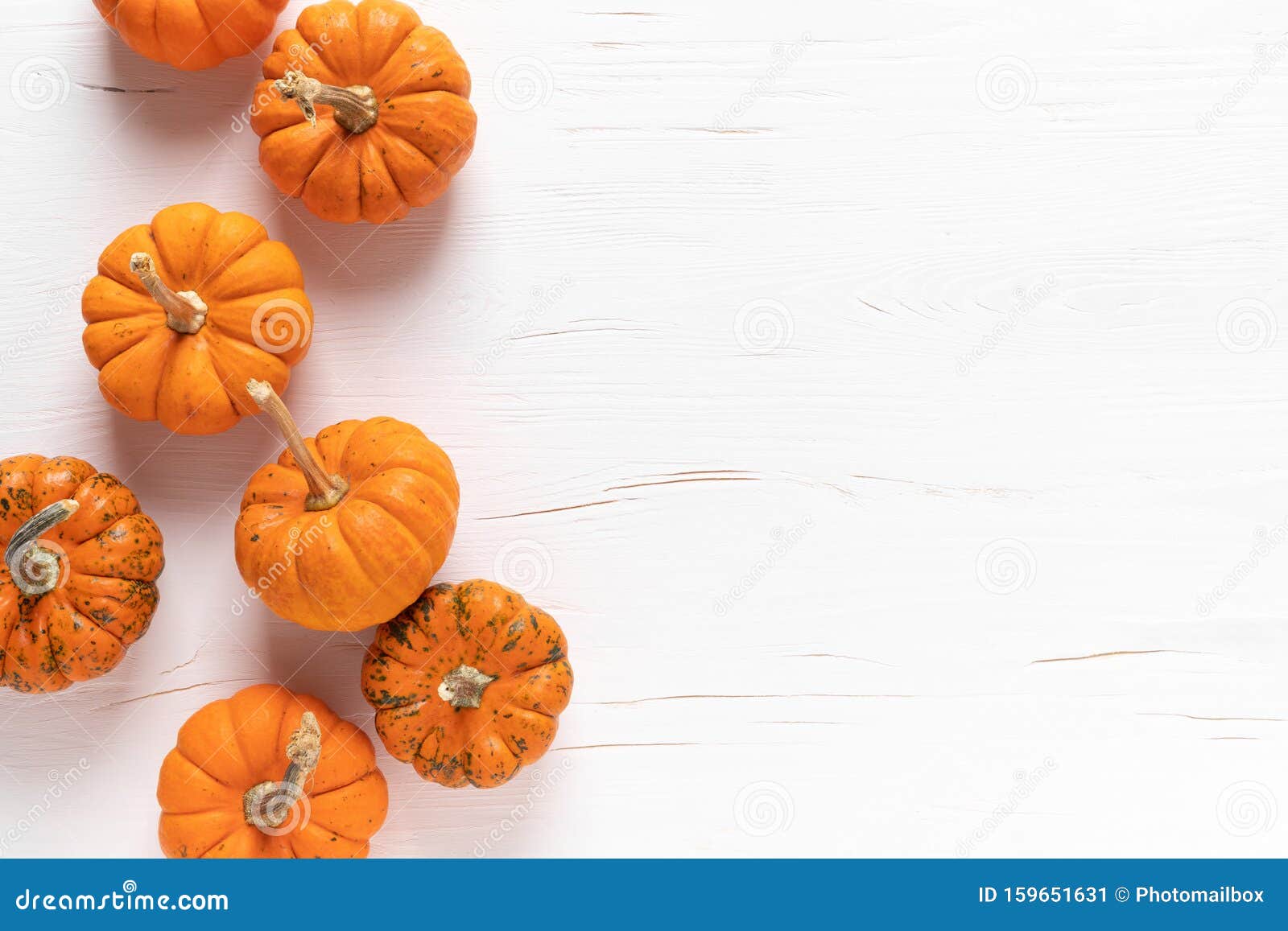 small decorative pumpkins on white wooden background. autumn, fall, thanksgiving or halloween day concept, flat lay, top view