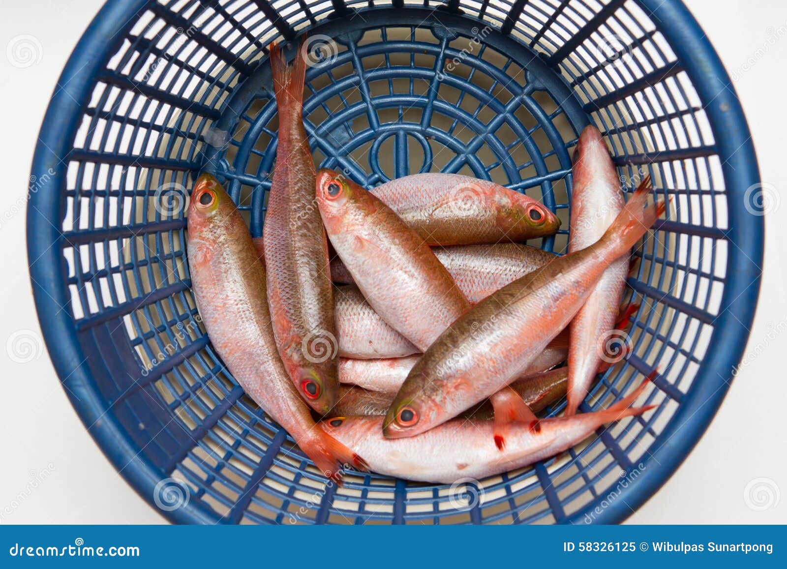 Small Fish in the Basket Prepared for Cook Stock Image Image of
