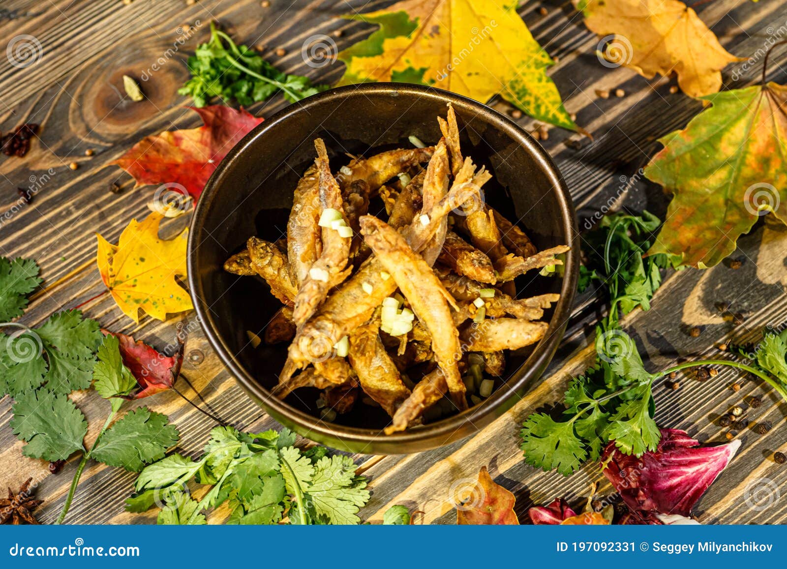 Small fish, like anchovies stock image. Image of sardines 197092331