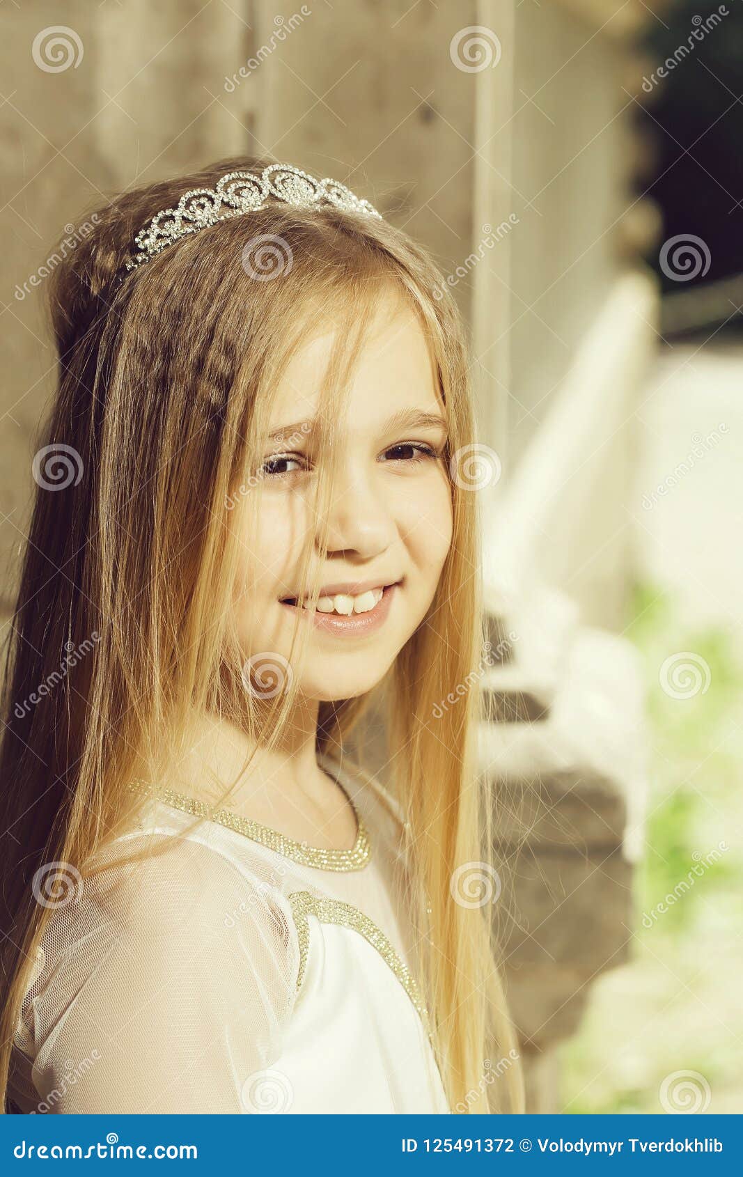 Small Girl In Princess Crown Stock Photo Image Of Wedding Face