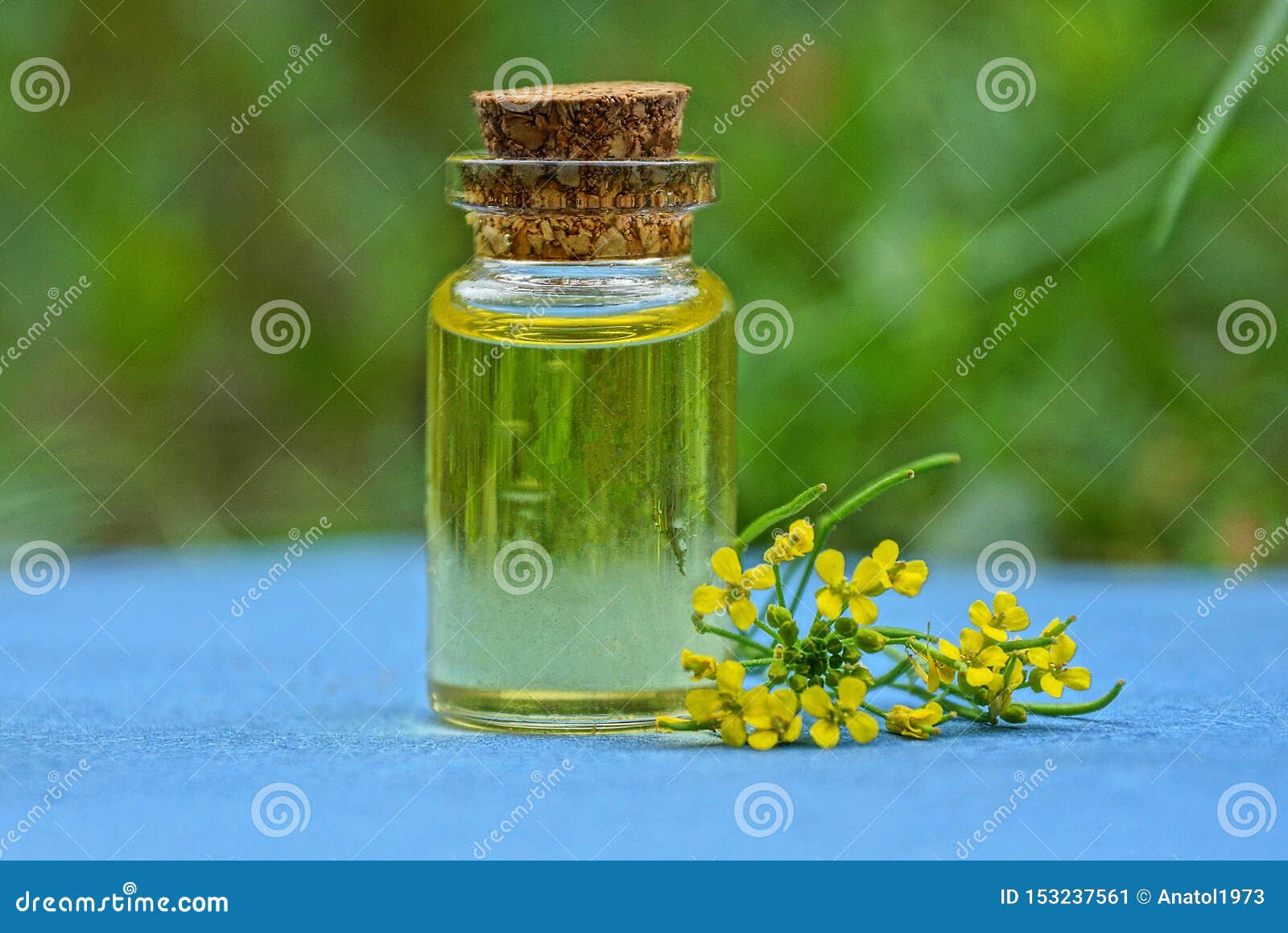 Download Small Glass Bottle With Oil And Yellow Flowers Stock Image Image Of Beautiful Fragrant 153237561 Yellowimages Mockups