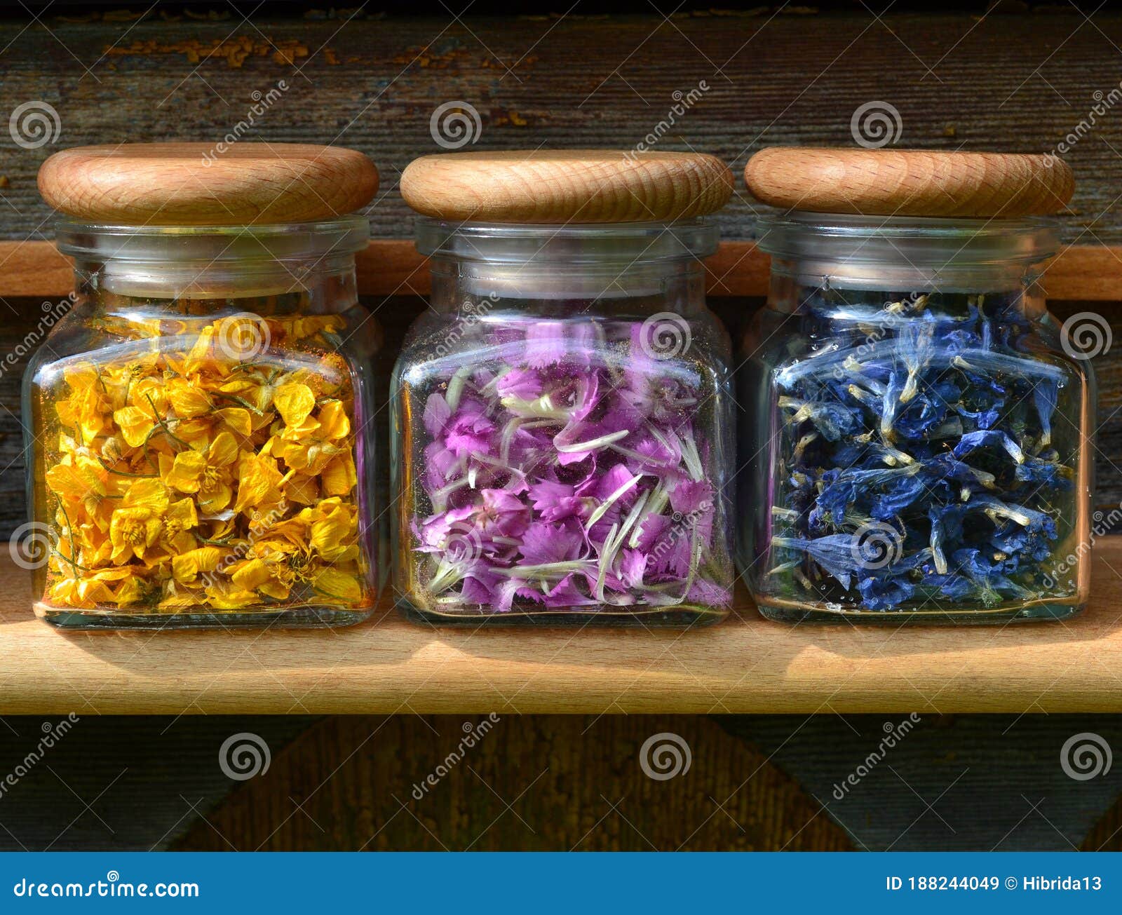 Small Glass Jars with Colored Flowers Stock Image Image of bunch
