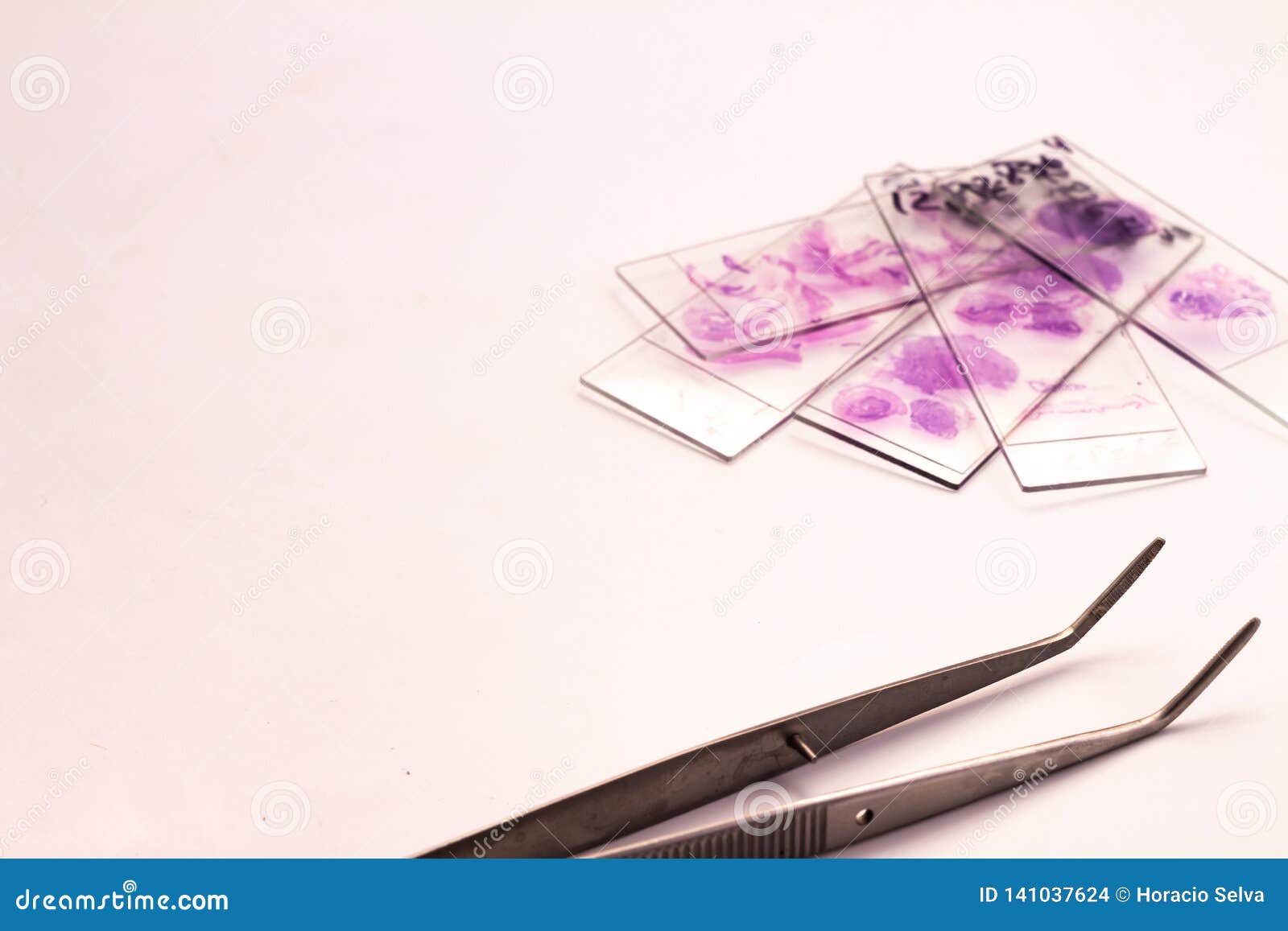 small glasses with pieces of histological biopsies on white background. the number 128364 can be read in the glasses. small metal