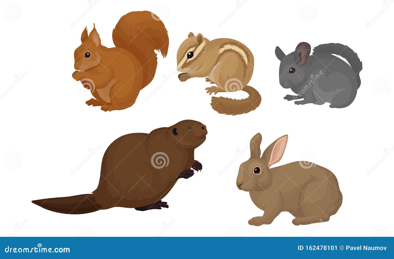 Small Gnawing Animals Vector Set Isolated on White Background Stock Vector  - Illustration of icon, biter: 162478101