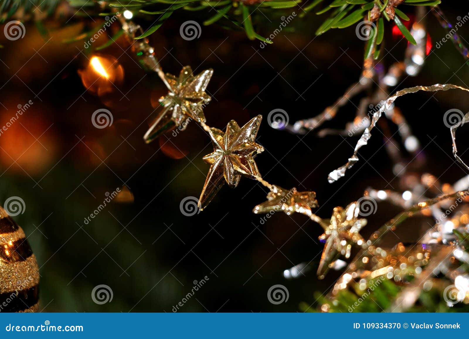 The Small Golden Chain Hanging on the Tree Stock Photo - Image of ...