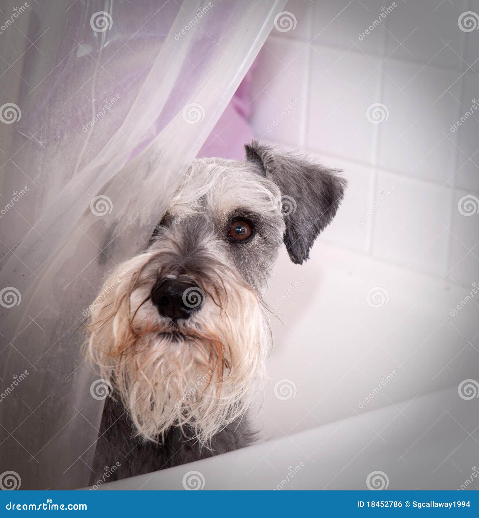 Image Result For Small Bathroom Shower Image Result For Small Bathroom Shower