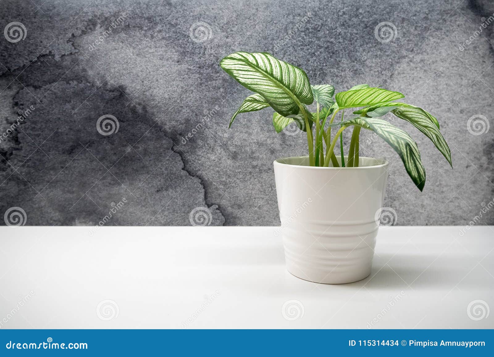 Small Green Plant In Flower Pots For Interior Decoration