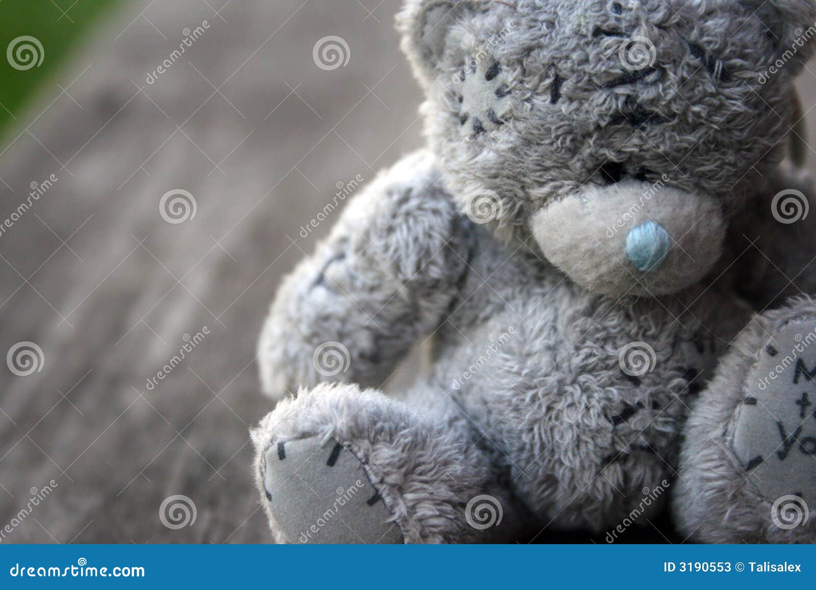 grey bear plush