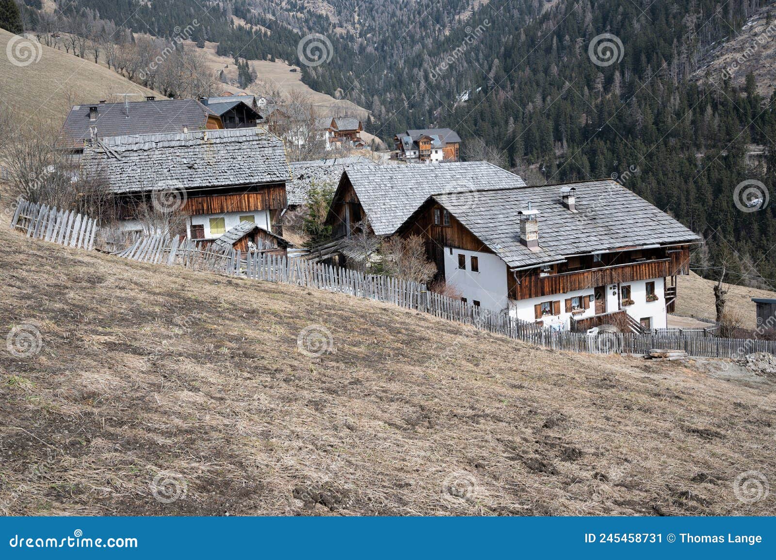 the small hamlet fordora with its nice  historic, old houses is situated near to the village la pli de mareo in the dolomites