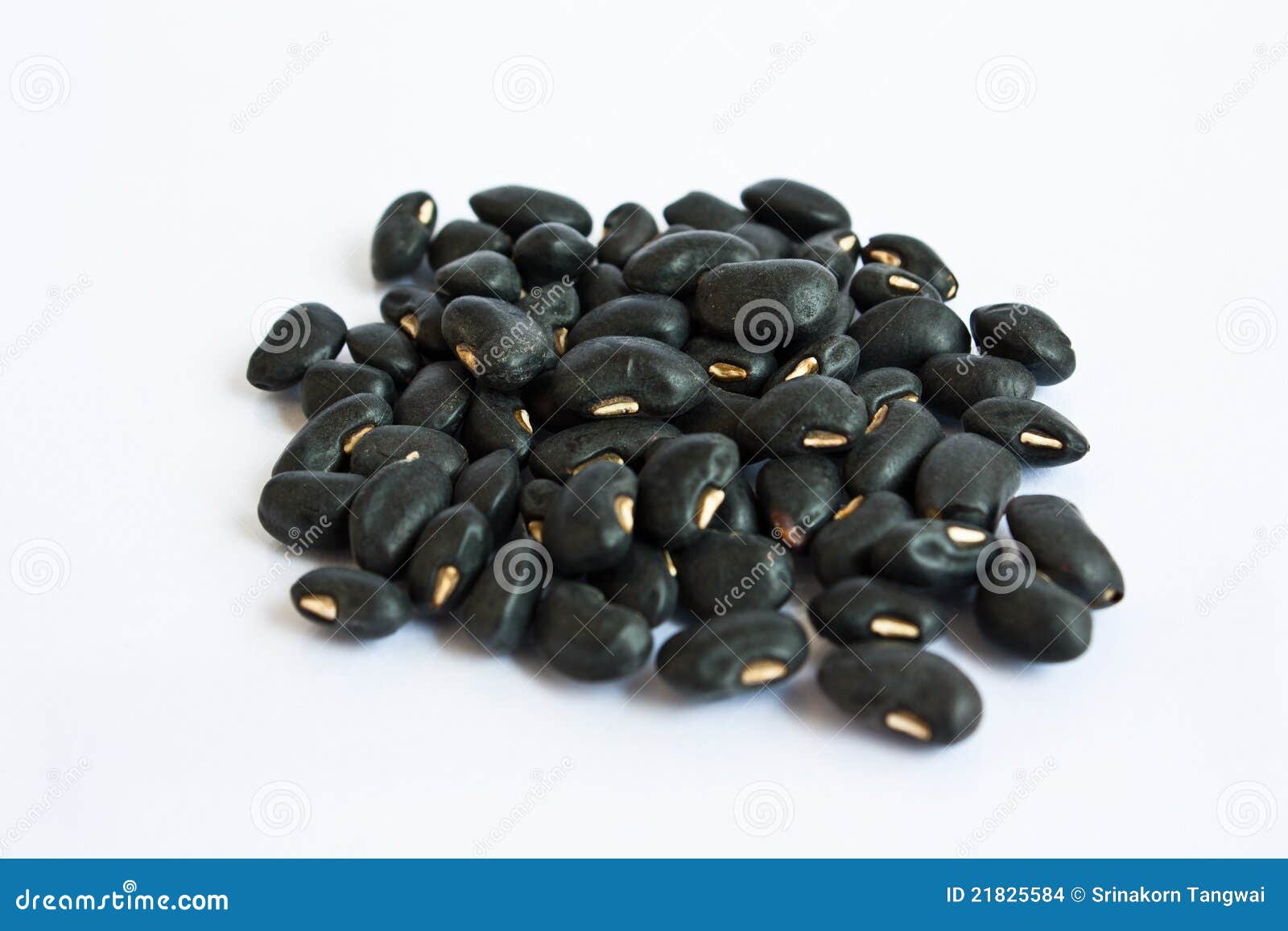 A Small Handful of Black Beans Preto. Stock Photo Image of diet