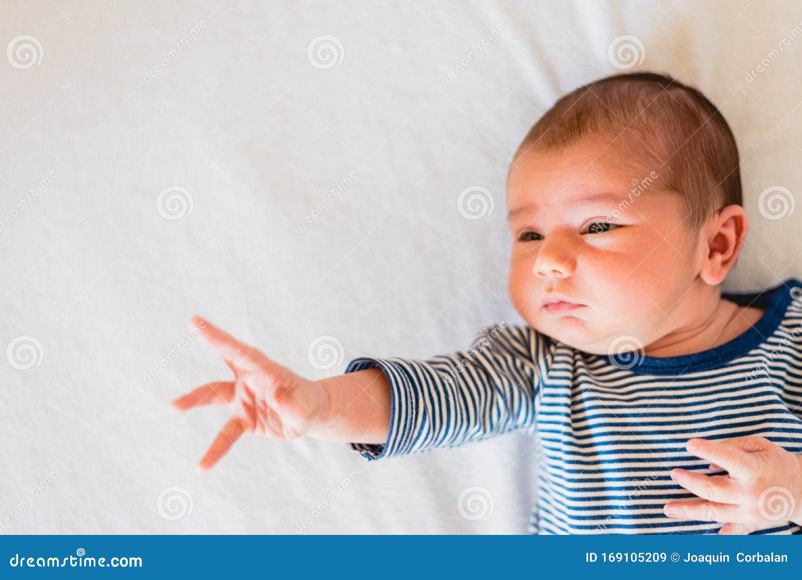 Small Hands and Fingers of Newborn Baby Stock Image Image of