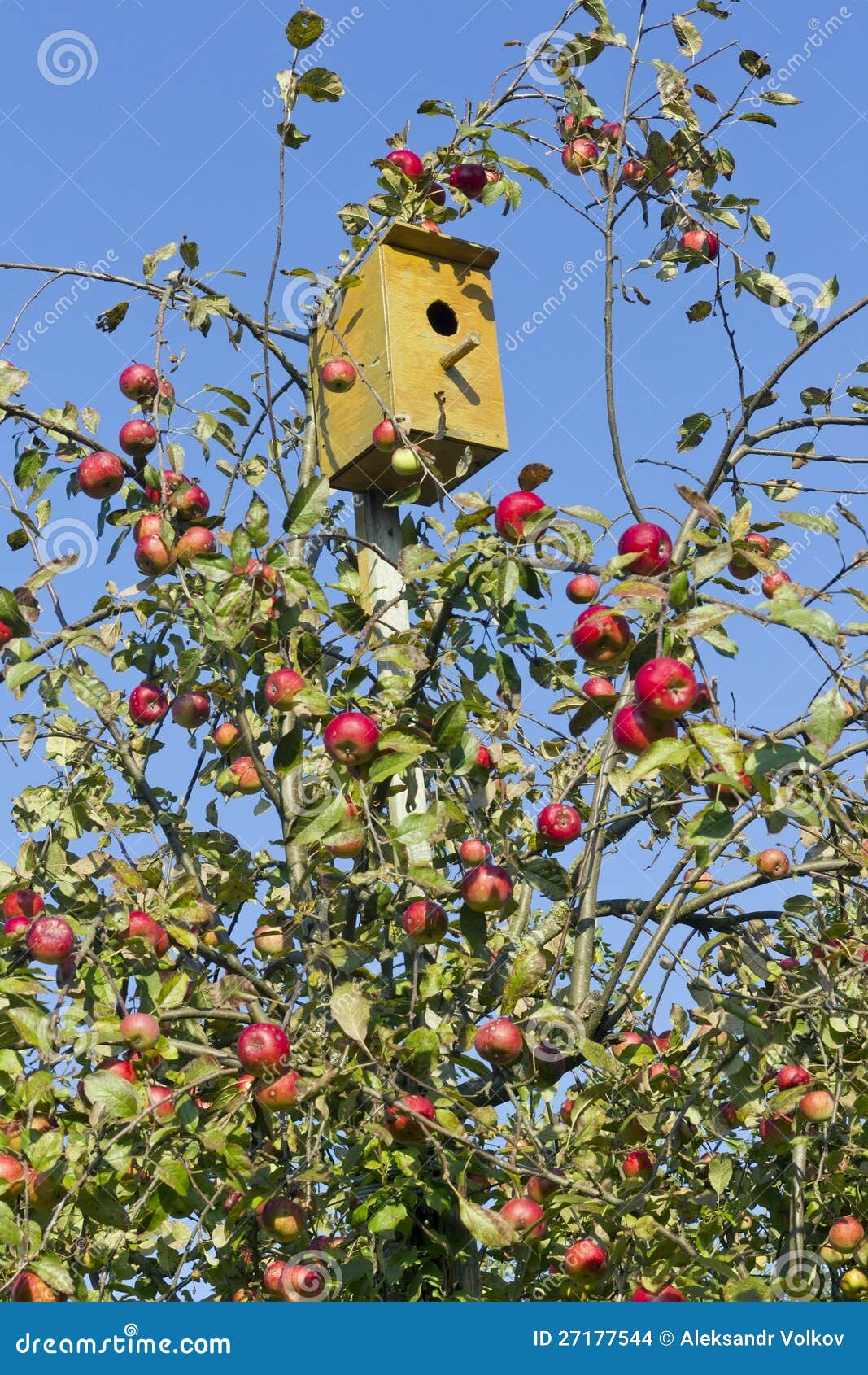Small house for birds stock photo. Image of view, tall 27177544