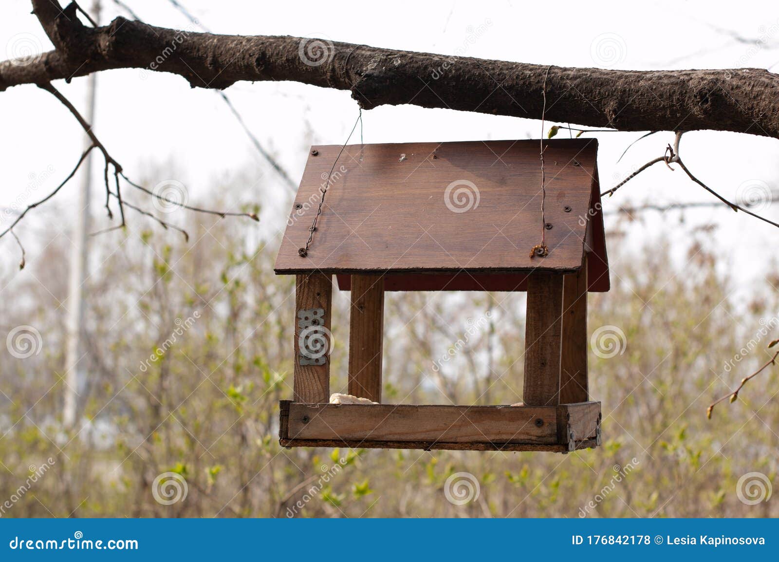 Small House for Birds a Starling House Fixed on an Tree Stock Photo