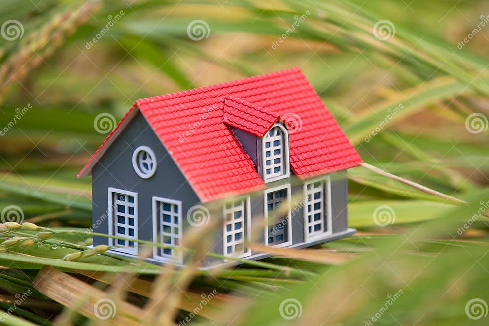 Small House Model Placed on Rice Straw Stock Image Image of natural