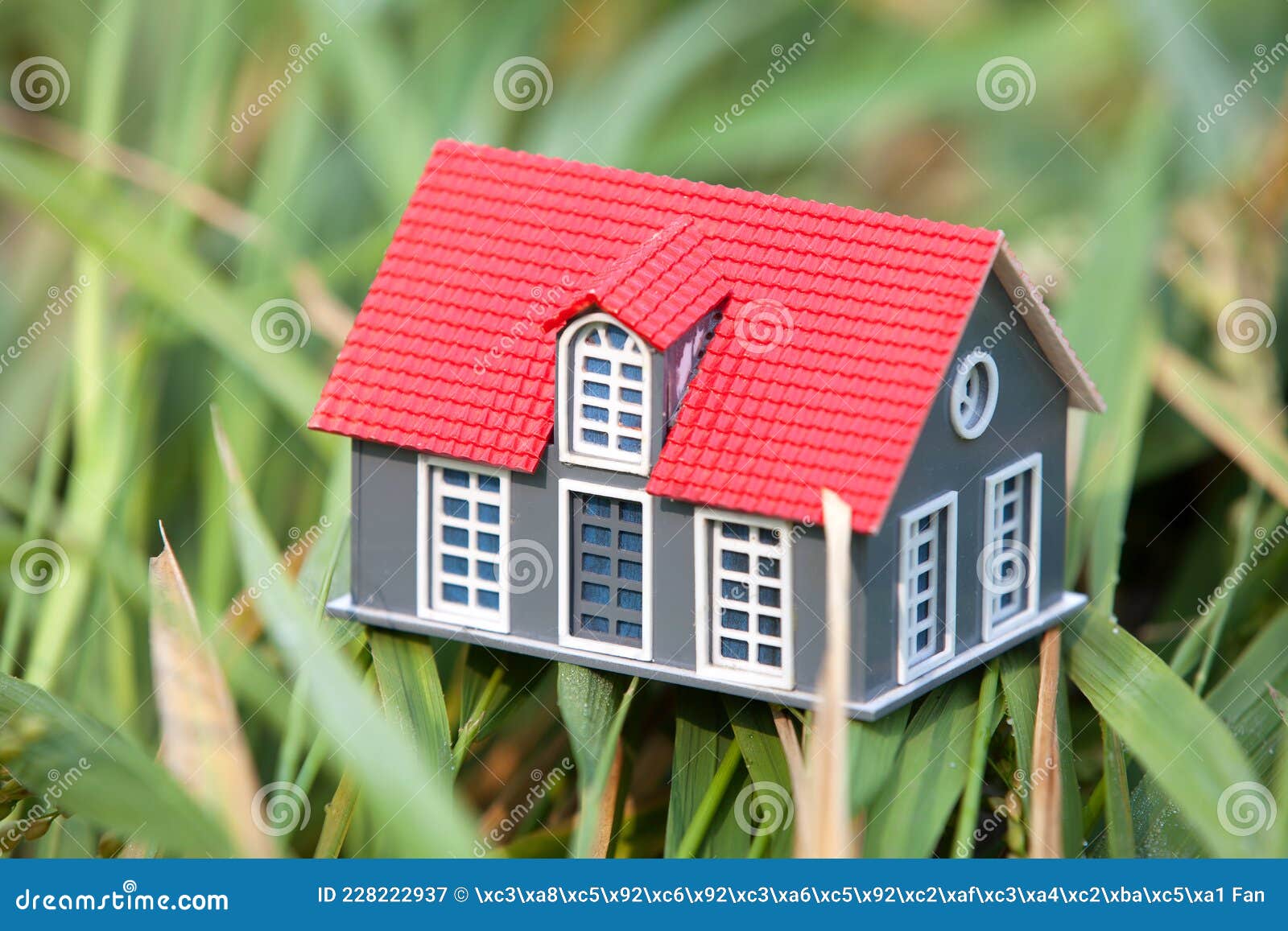 Small House Model Placed on Rice Straw Stock Image Image of crop