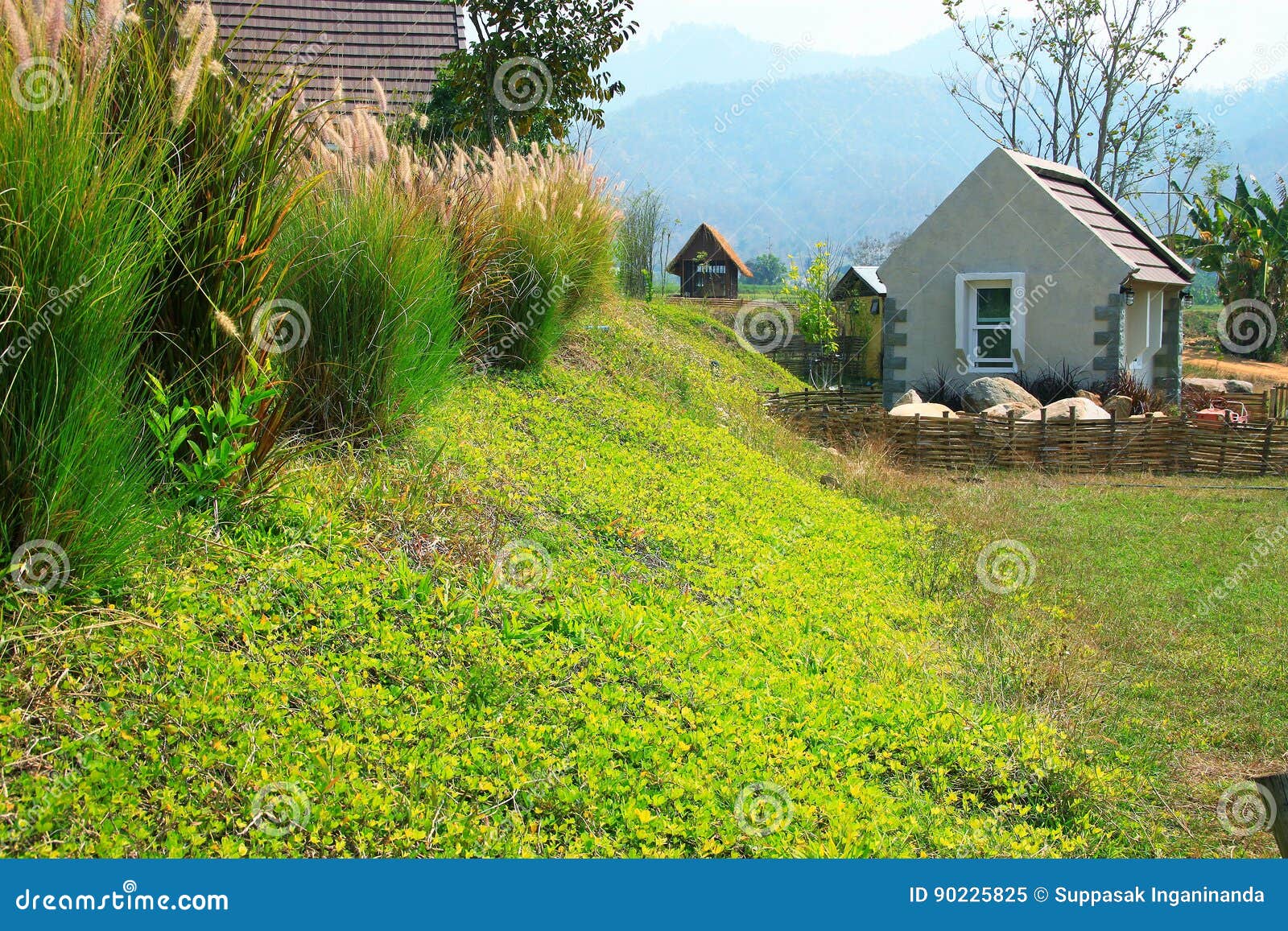 Small house in nature. stock image. Image of nature, garden - 90225825