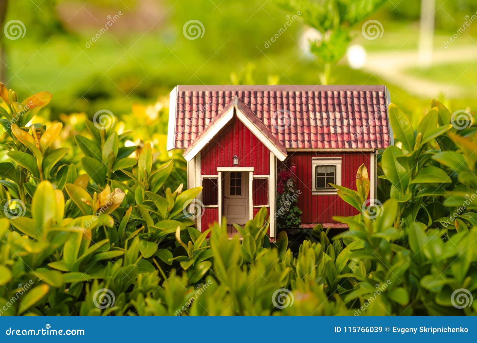 Small House Sun Leaves Plant Green Nature Stock Image - Image of hands,  earth: 115766039