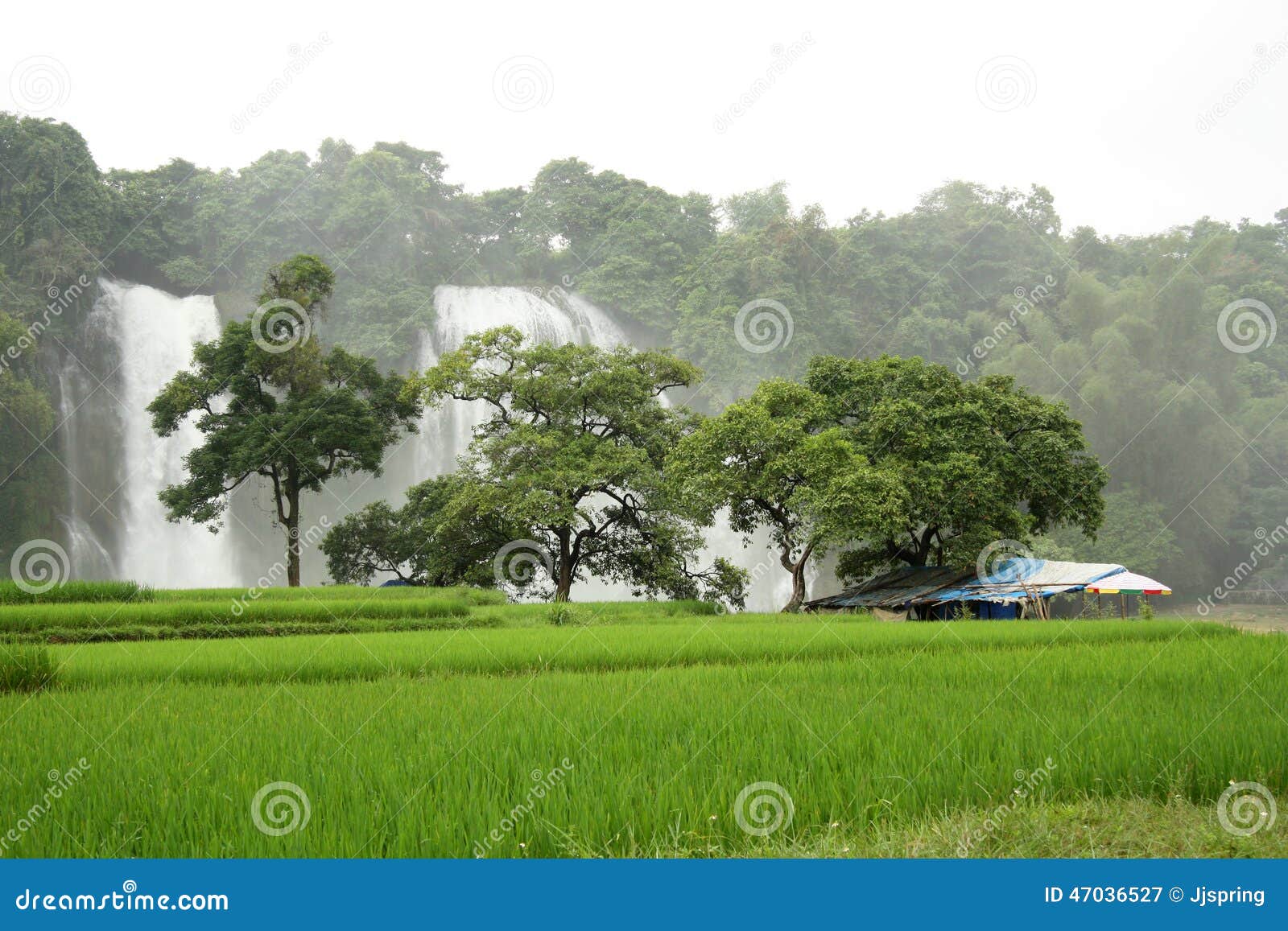 small house and waterfall hidden in tropics