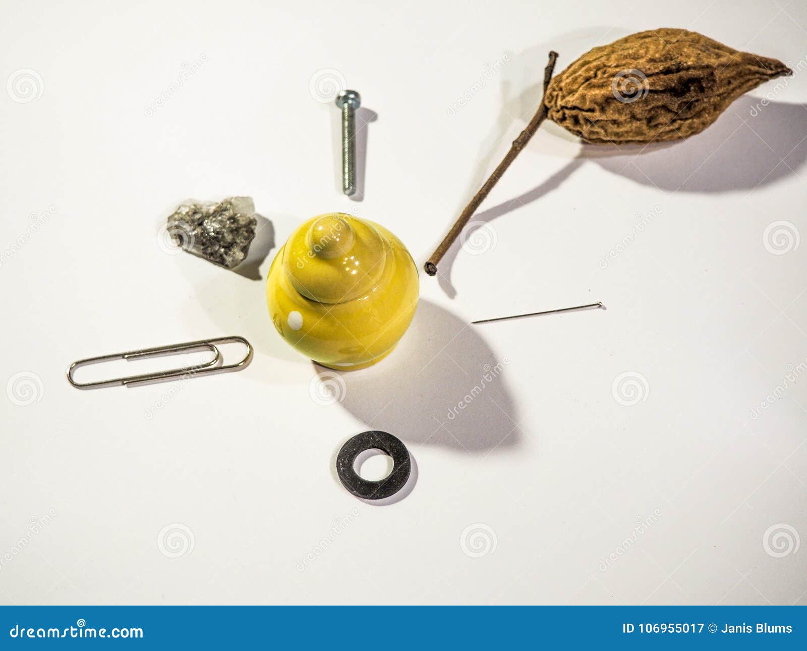 Small Household Items on White Background Stock Image Image of valnut