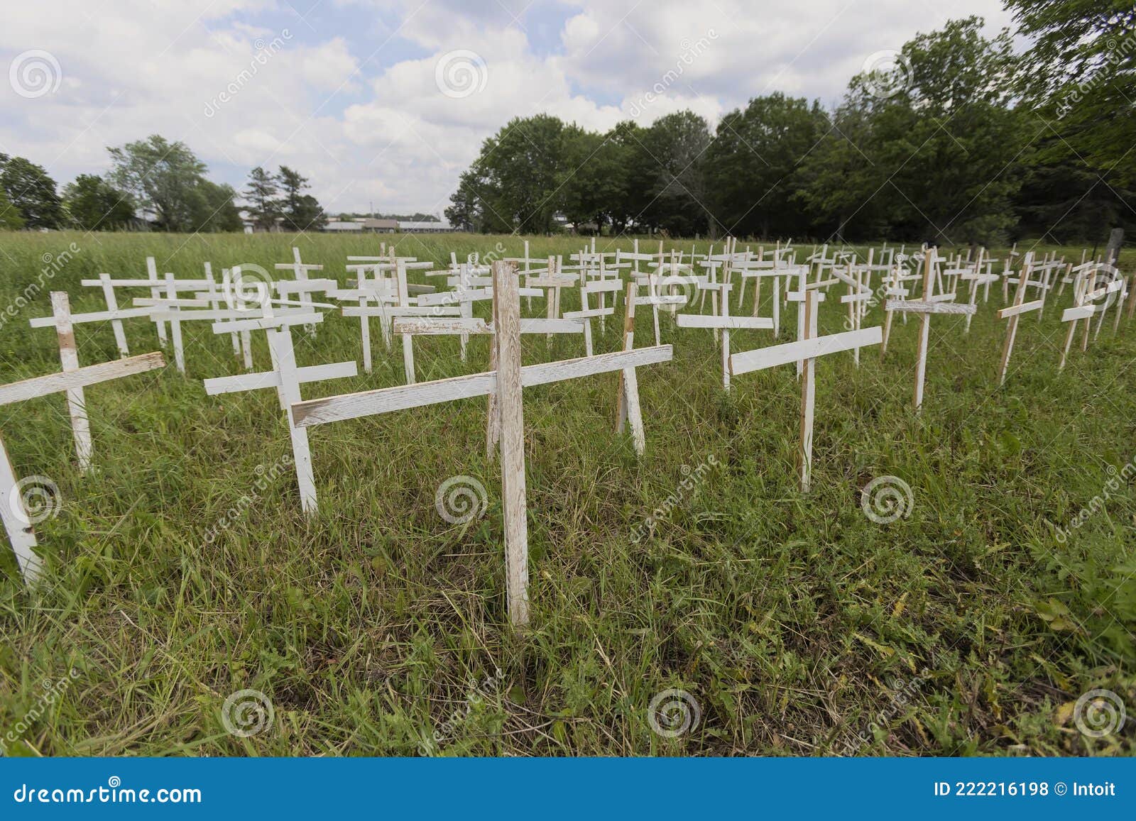 a small impromptu memorial of white crosses to grieve the loss of hundreds of indigenous children