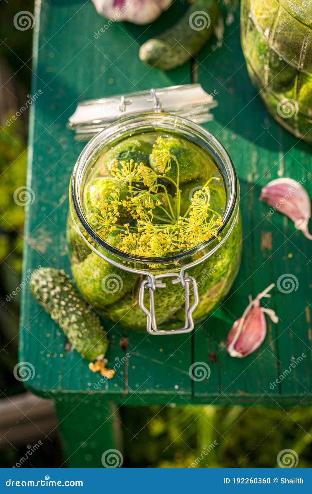 Small Jar with Gherkins in Summer Garden Stock Photo Image of
